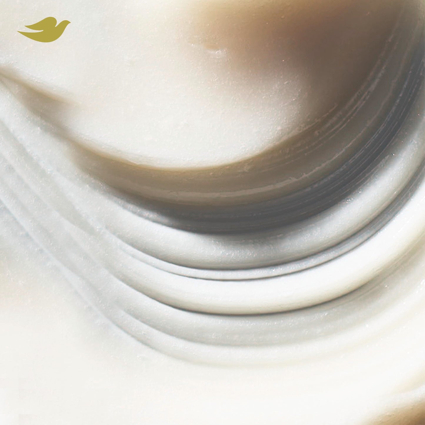 Dove Hair Intensive Repair 10in1 Serum Mask for Damaged Hair with Bio-protein Care Technology and Amino 9.2 Fl Oz
