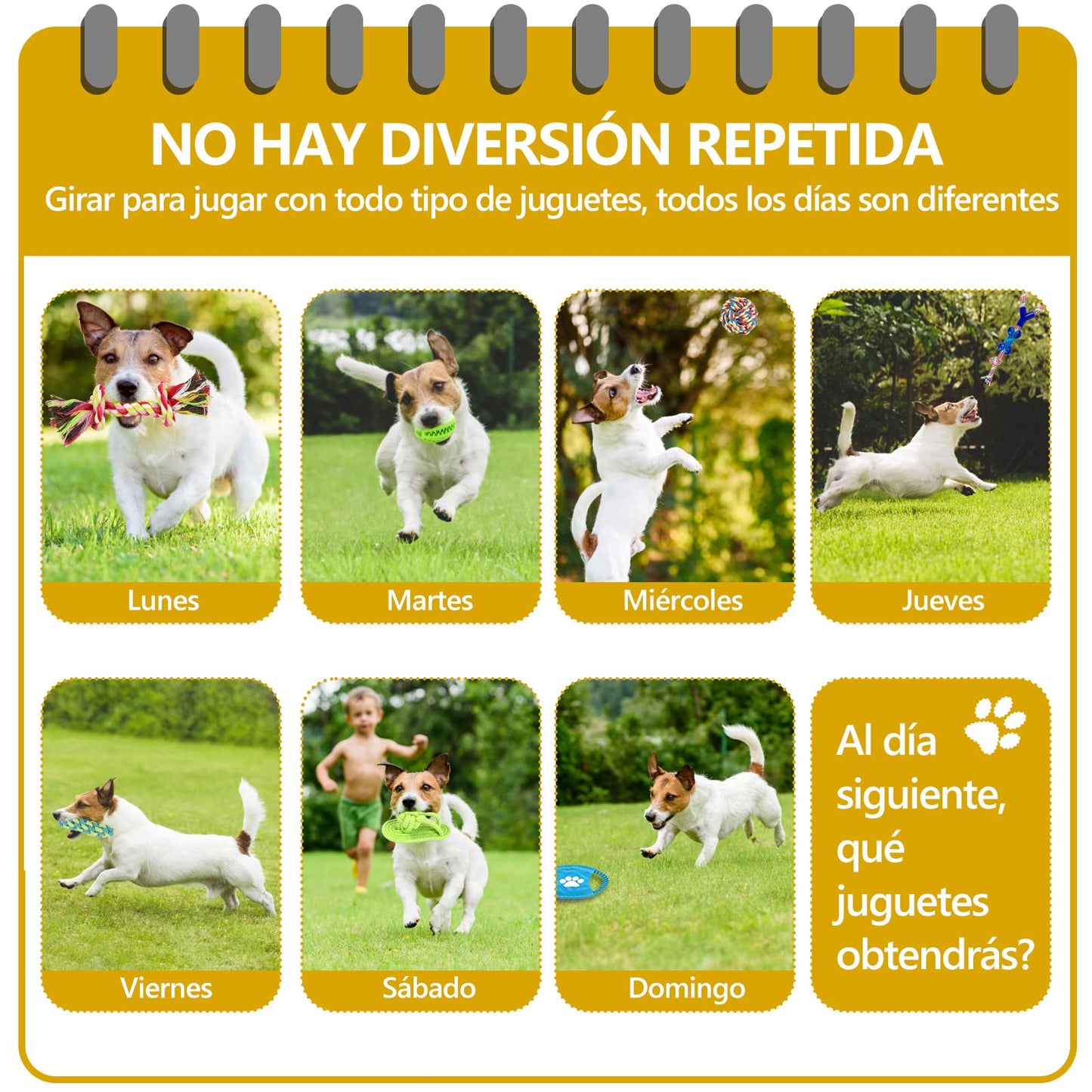 Jasonwell Juguetes para Perro 12 Piezas - Juguete Mordedera para Perro Masticar Cuerda Pelota para Cachorros Juego de Juguetes para Perros Ansiosos Juguete Interactivo para Perros Pequeños Grandes