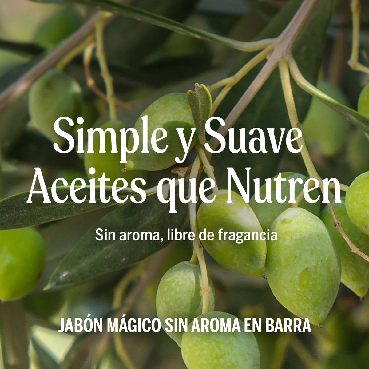 Dr. Bronner's | Jabón de castilla orgánico en barra, fórmula concentrada, suavidad pura y cuidado para piel sensible, sin aceite esencial, aroma Sin Aroma (3 pack)