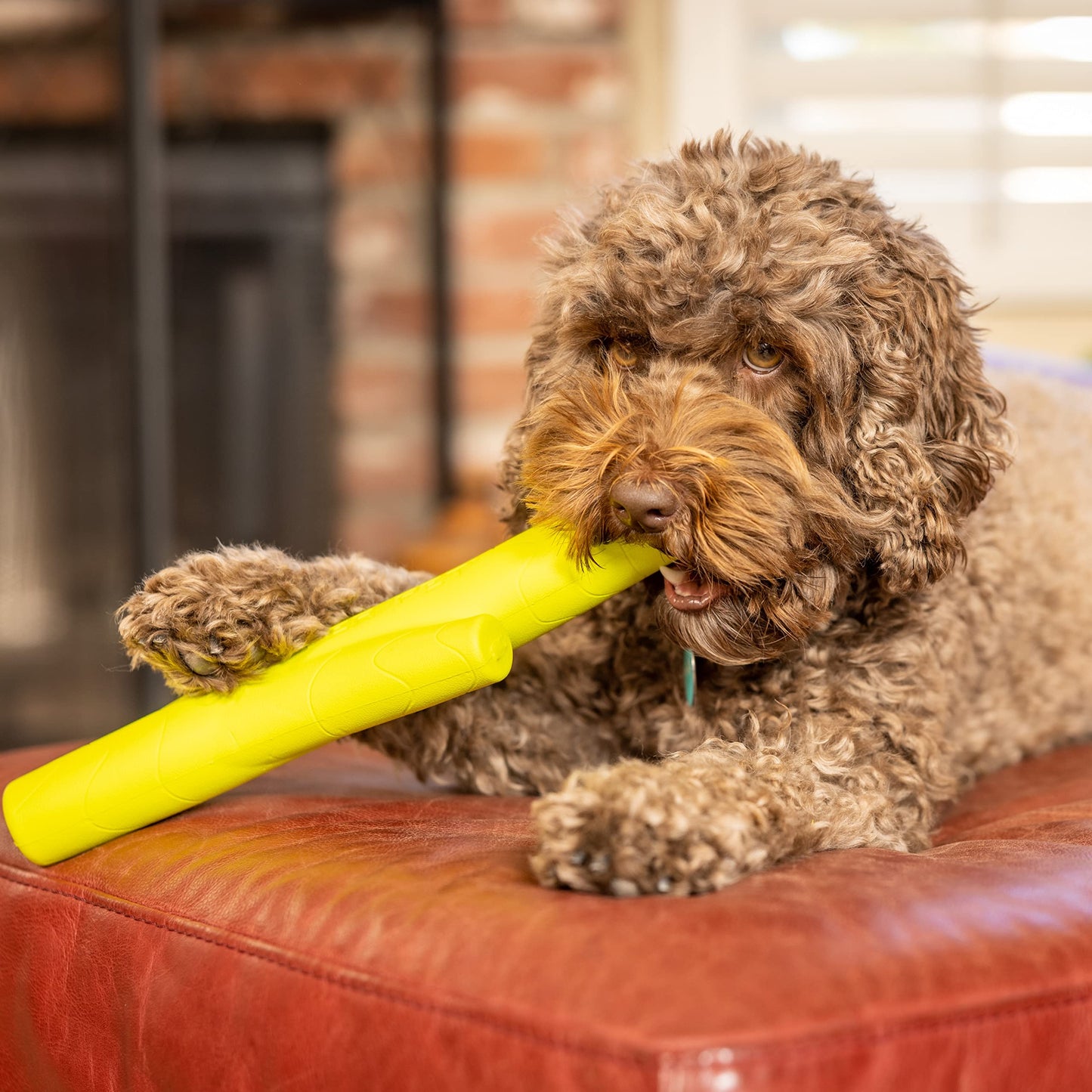 Hyper Pet Chewz juguetes para perros grandes (pelota de perro, hueso de perro y perro Stick perro masticar) [ligero, resistente espuma EVA juguete para perro es seguro en los dientes, fácil de limpiar, y flota en el agua para juego interactivo], verde, ta