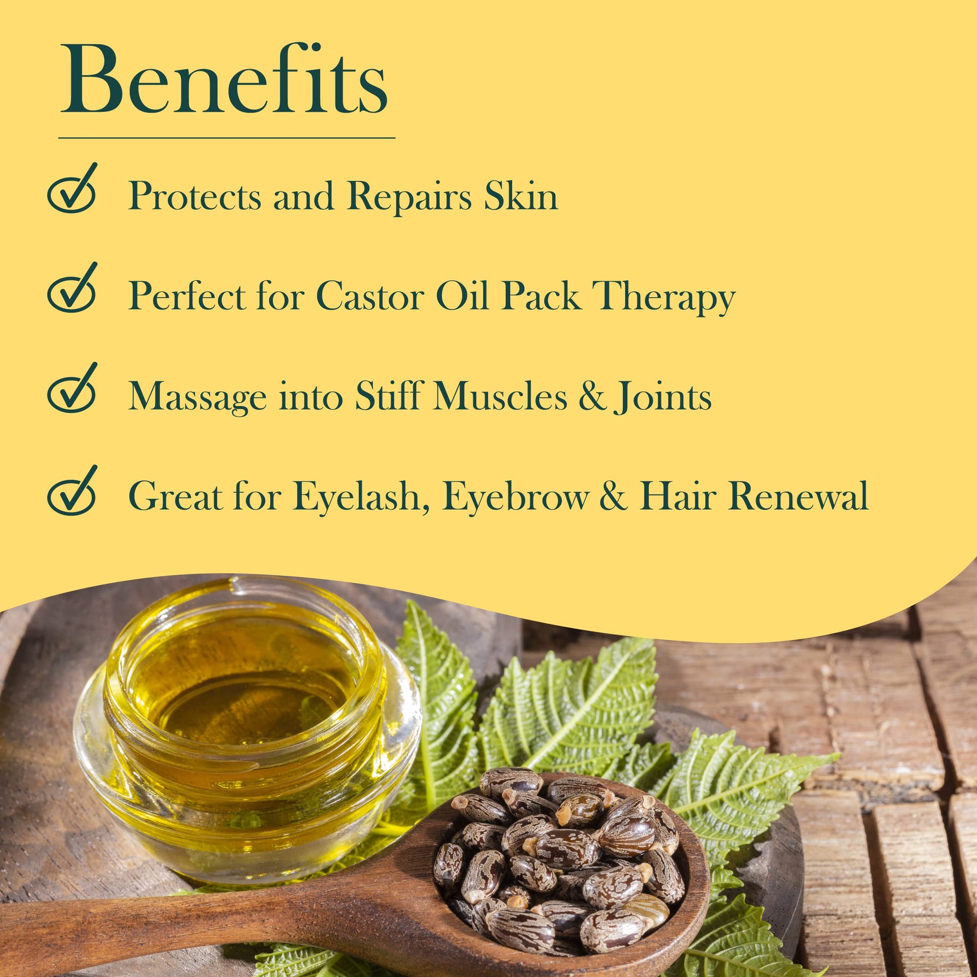 Baar Aceite de ricino orgánico, 100% puro, prensado en frío, sin hexanos, aceite de ricino orgánico para cabello, pestañas, cejas, paquetes, piel, eliminaciones y muchos más. Exclusivo Palma Christos marca, 3.78 L