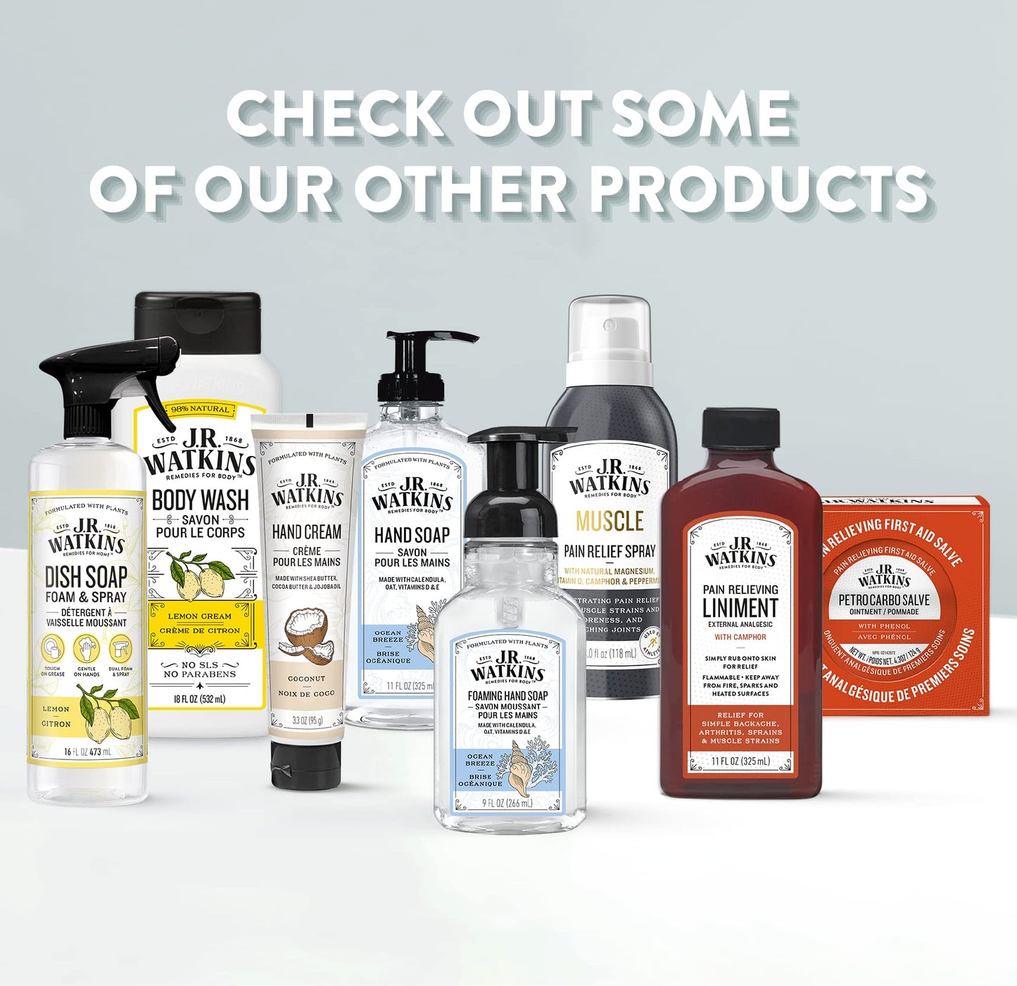 J.R. Watkins Natural Liquid Hand Soap, Aloe & Green Tea, 11 Ounce (Pack of 6)