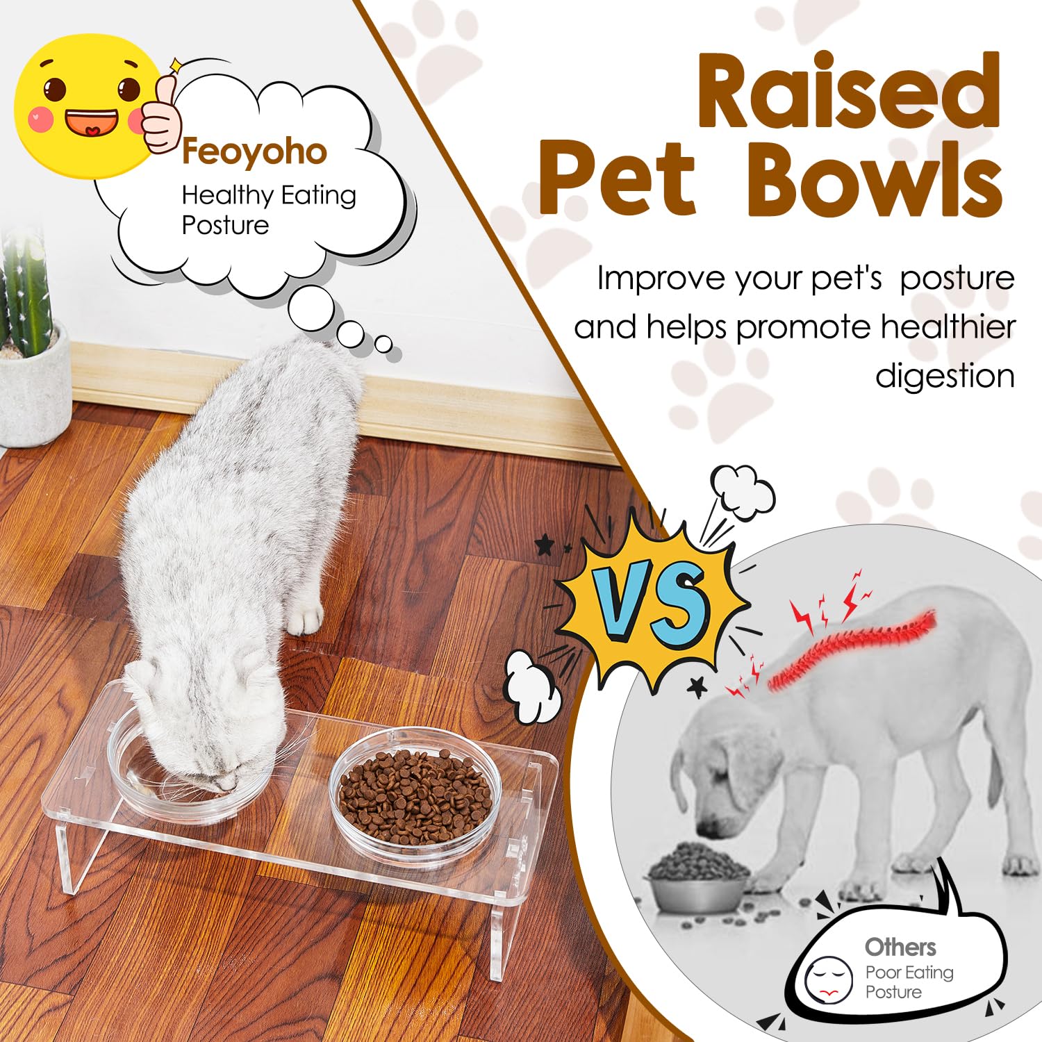 Juego de Cuencos Elevados Acrílico 9,5 cm para Mascotas Pequeñas Con Acero Inoxidable y Vidrio para Alimentos y Agua
