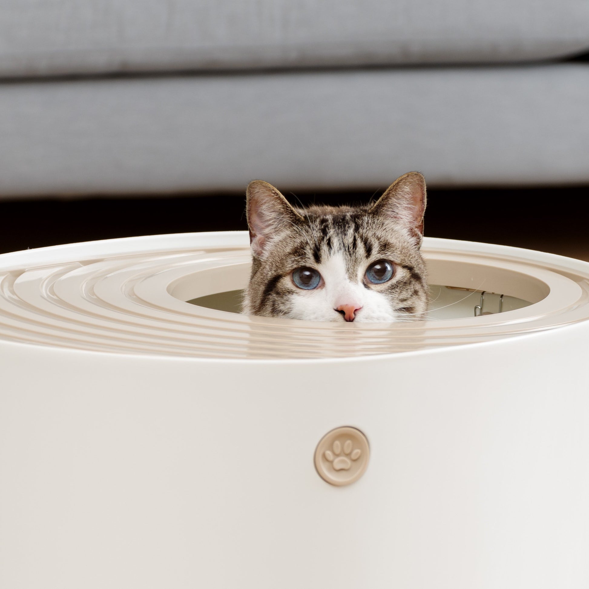 IRIS USA Gran arenero para gatos con entrada superior y pala, elegante caja redonda para gatos, arenero para gatitos, Blanco/Beige