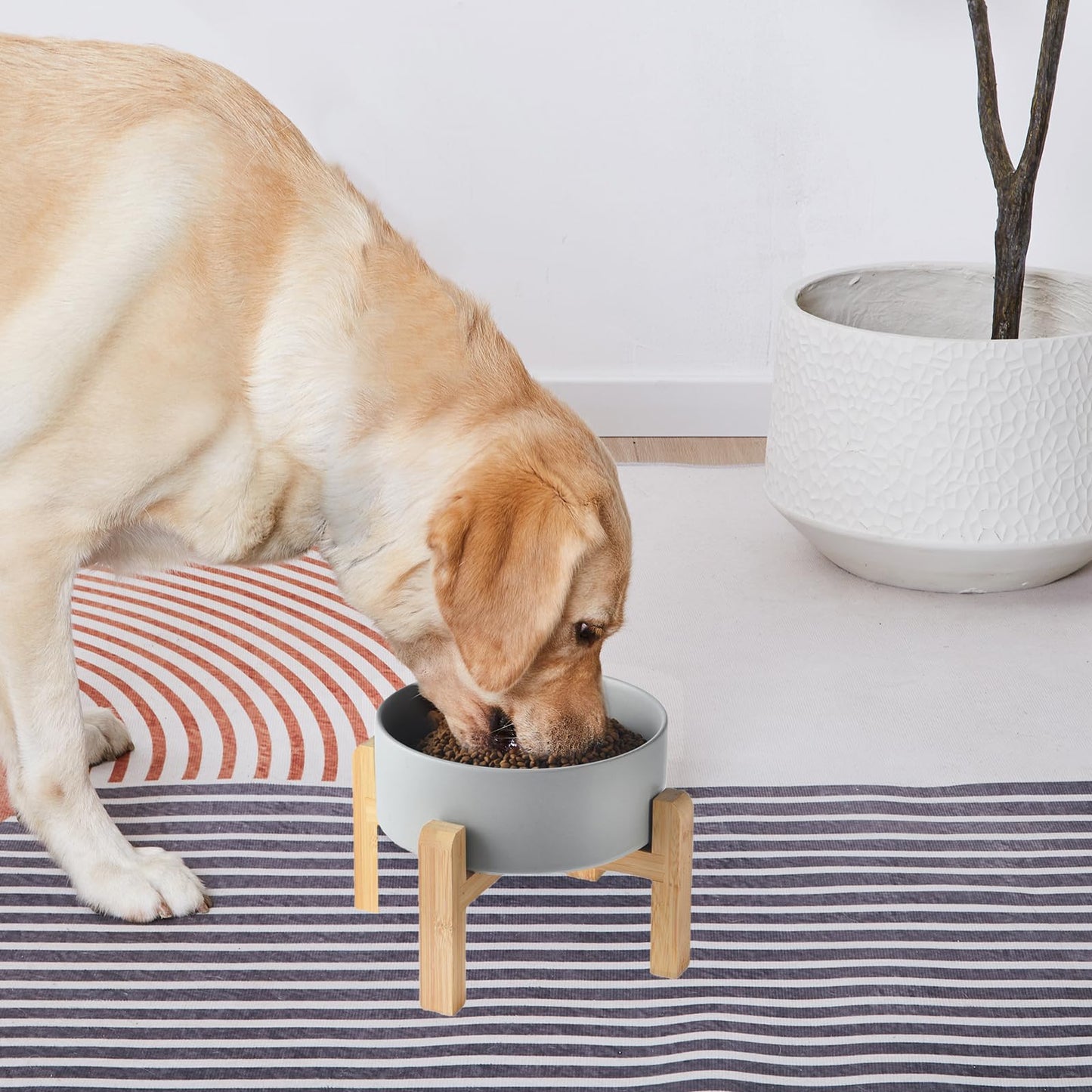 Comedero Elevado de Cerámica Welloyed Azul con Base de Bambú para Perros Pequeños y Medianos