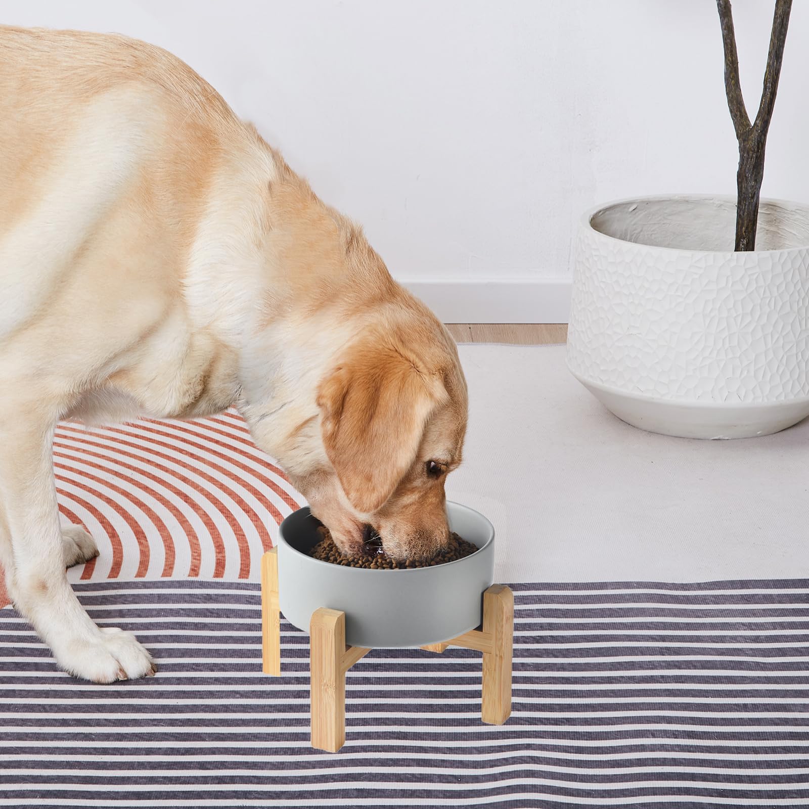 Comedero Elevado de Cerámica Welloyed Azul con Base de Bambú para Perros Pequeños y Medianos
