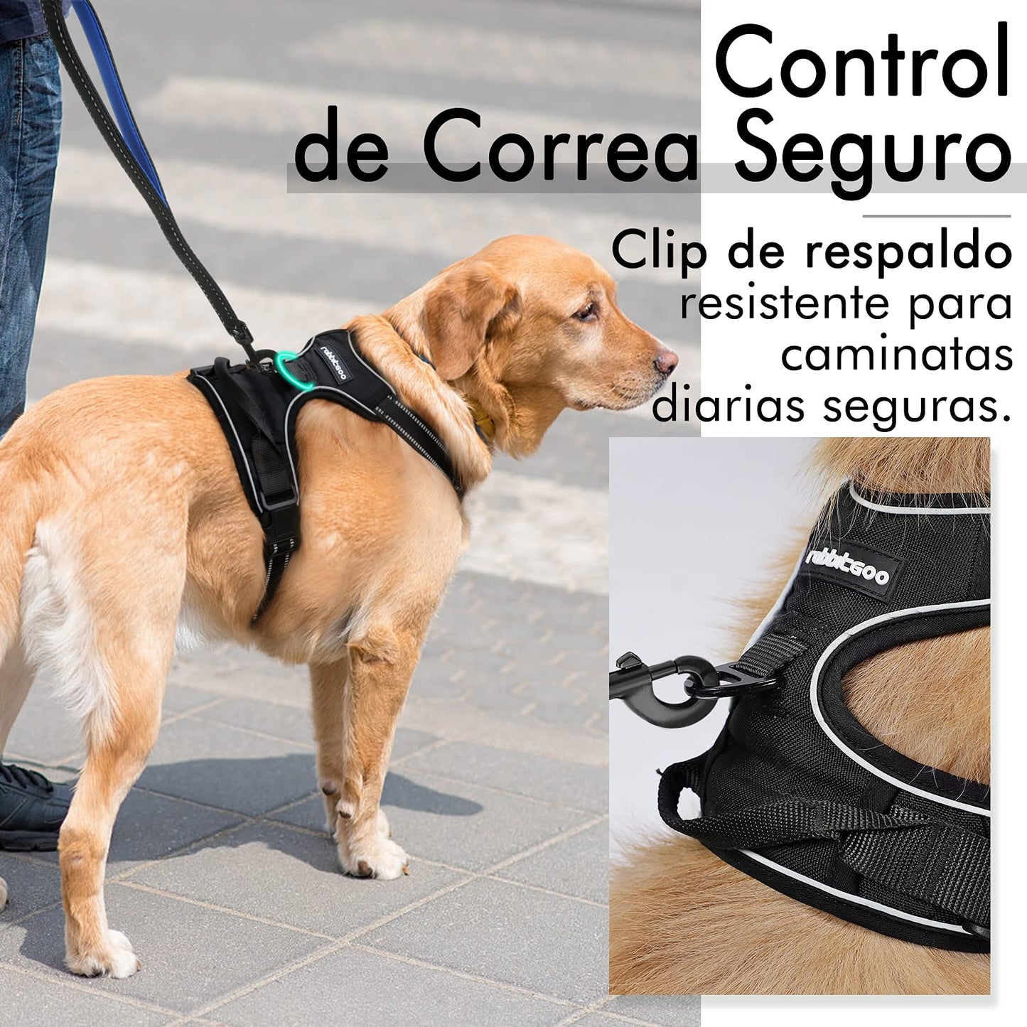 Arnés para Perro Rabbitgoo Negro XL con Líneas Reflectantes y Chaleco Acolchado Ajustable