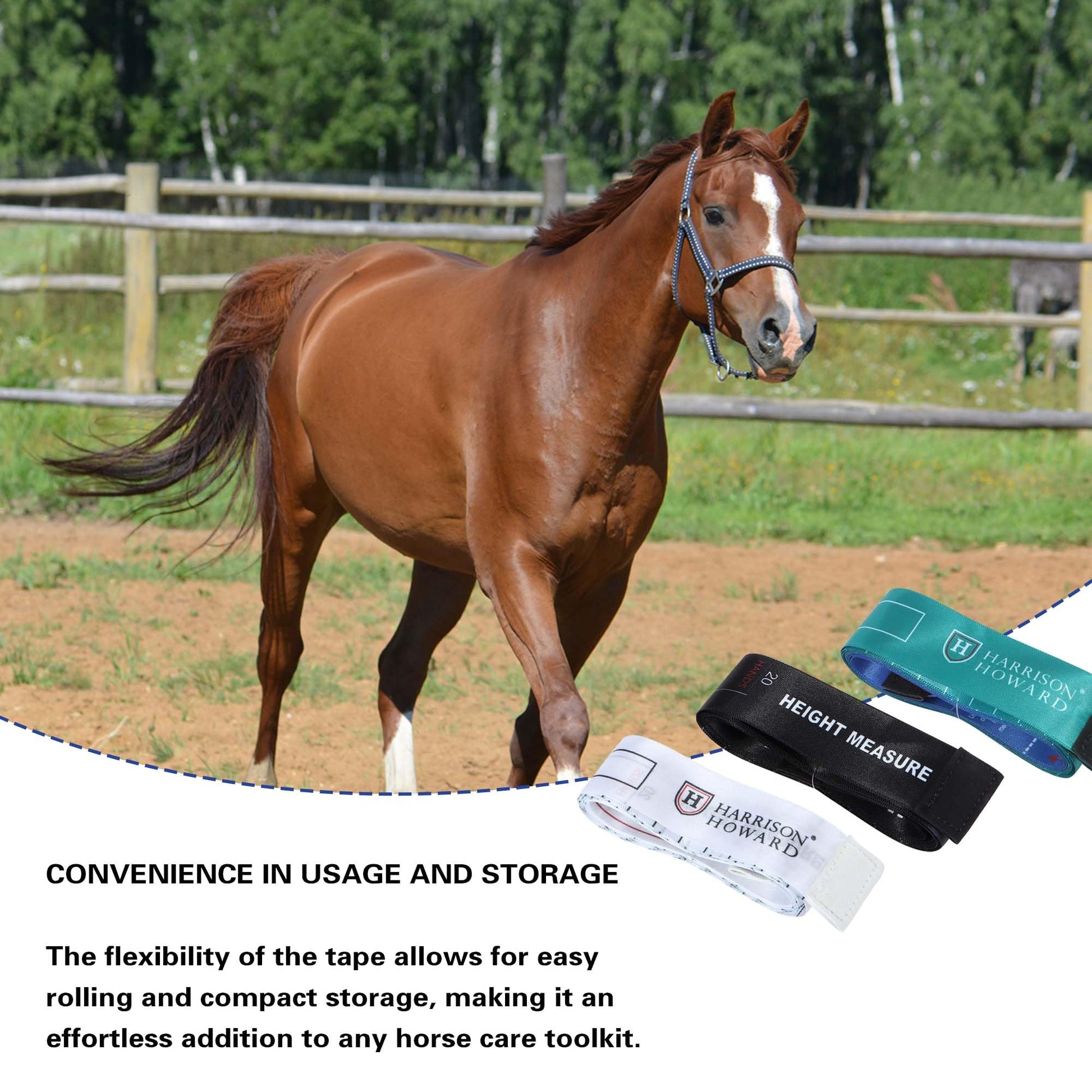 Harrison Howard Cinta métrica flexible suave para uso equino, cinta métrica de peso y altura, doble escala estándar y métrica, cinta métrica de altura/peso (paquete de 3) multicolor (6.5 pies)