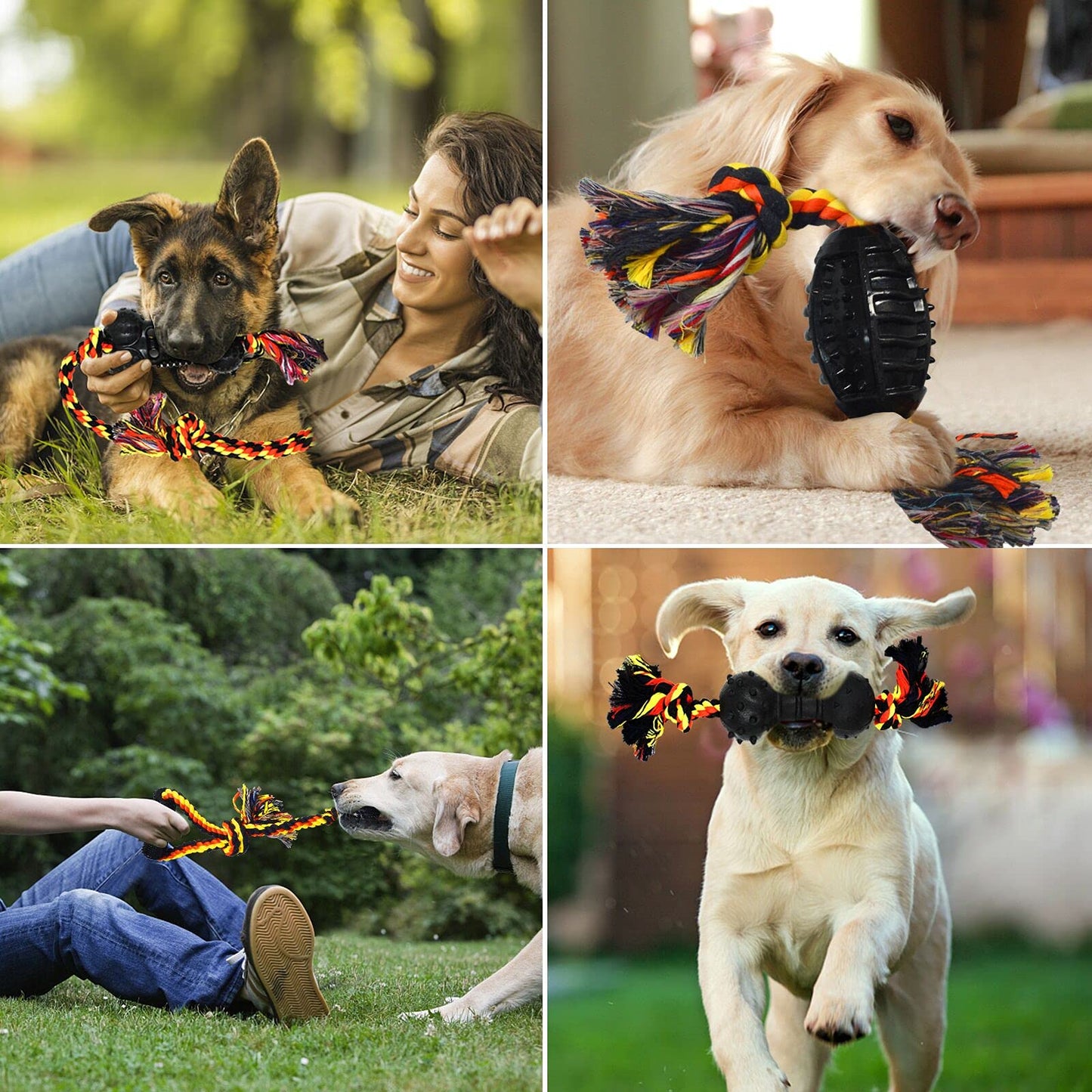 Juguetes Masticables Duraderos Yipetor Multicolor Diseño Convexo para Perros