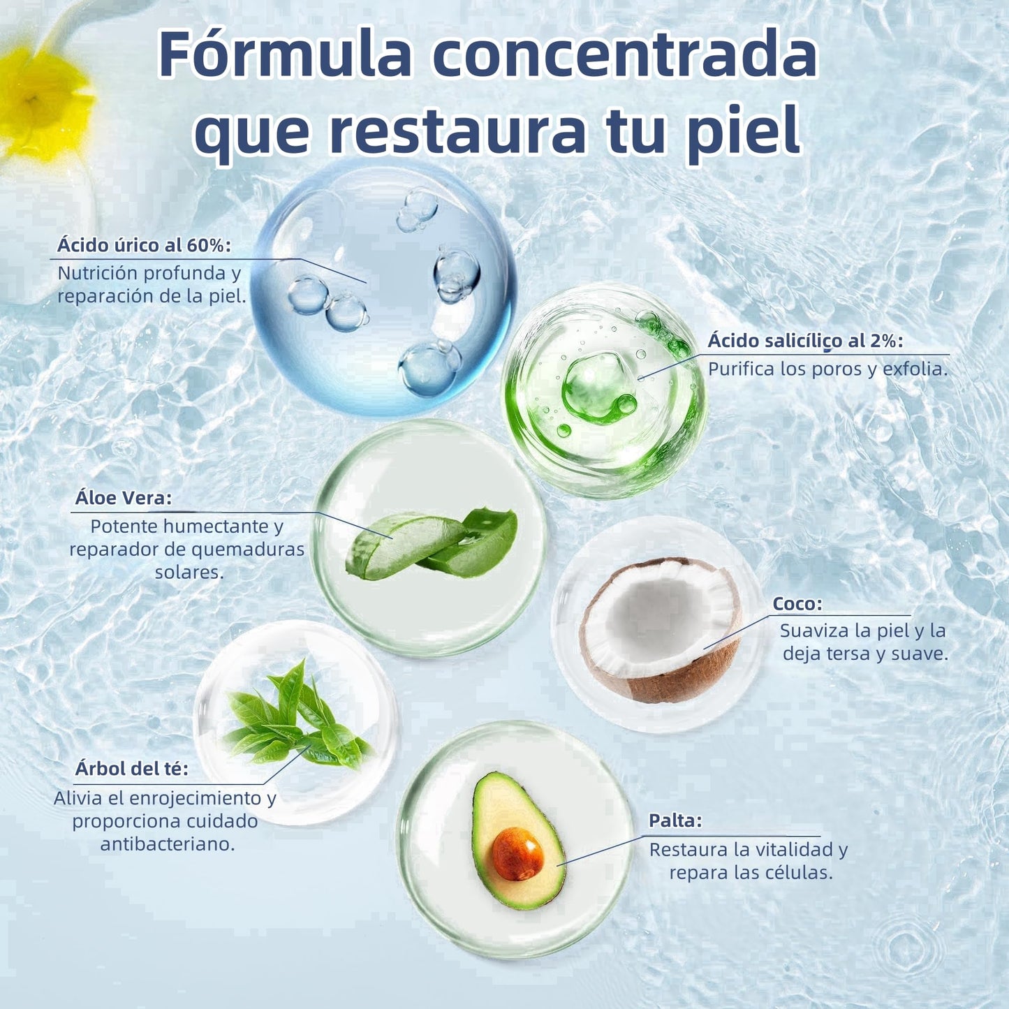 Crema Hidratante con Urea 60 para Pies, Manos y Codos - Exfoliante para Piel Seca, Agrietada y Callosidades (40g)