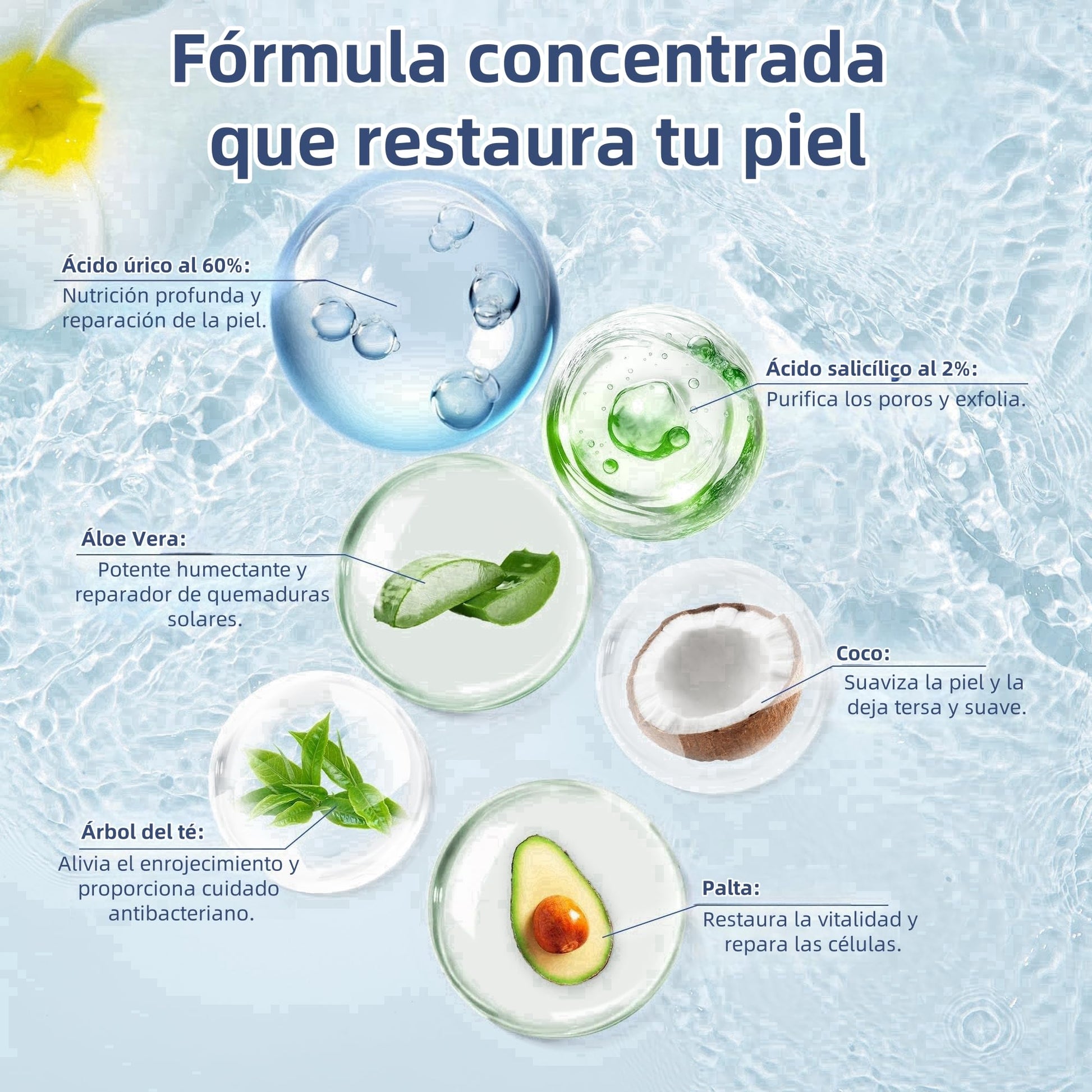 Crema Hidratante con Urea 60 para Pies, Manos y Codos - Exfoliante para Piel Seca, Agrietada y Callosidades (40g)