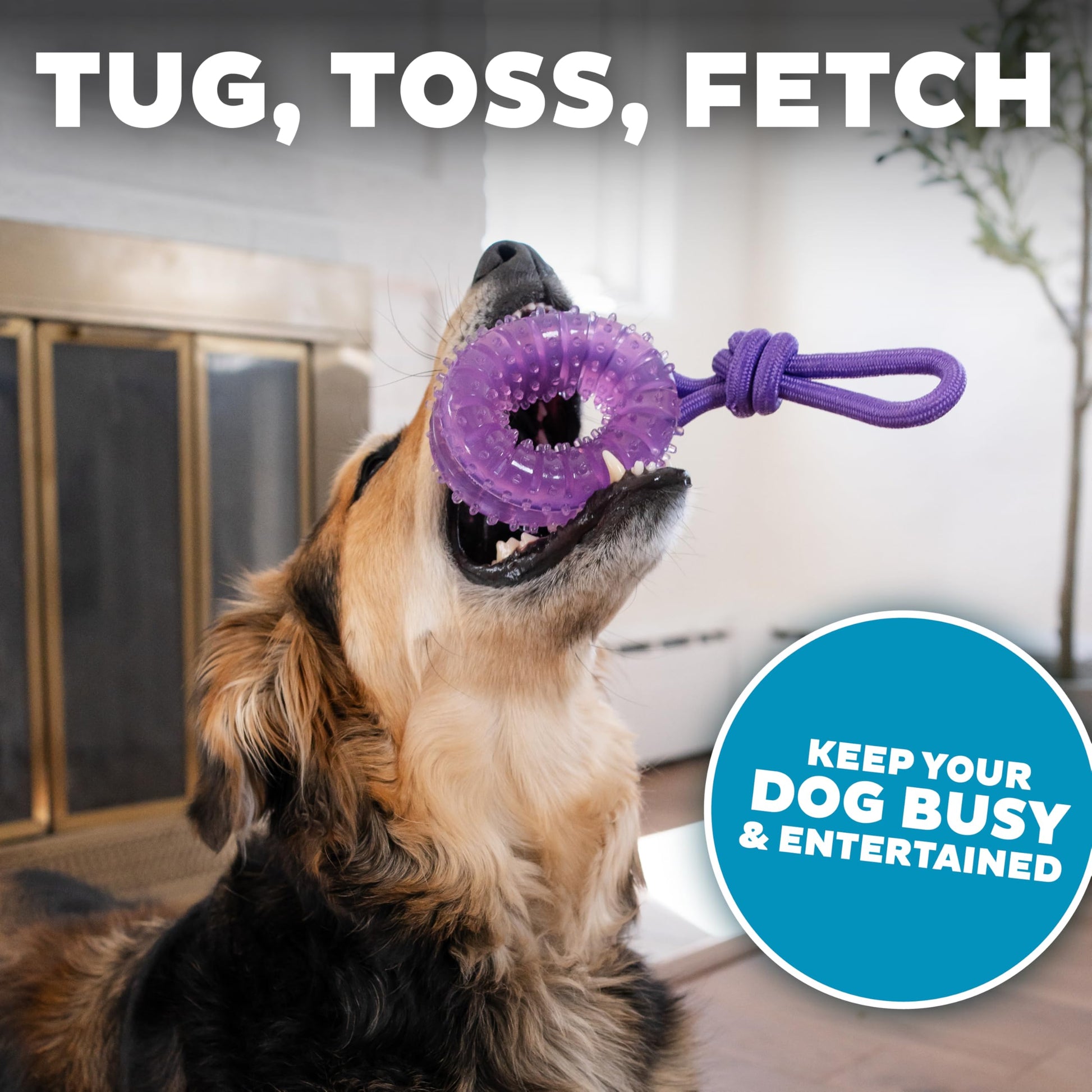 Juguete Dental y Tirador Outward Hound Morado para Perro