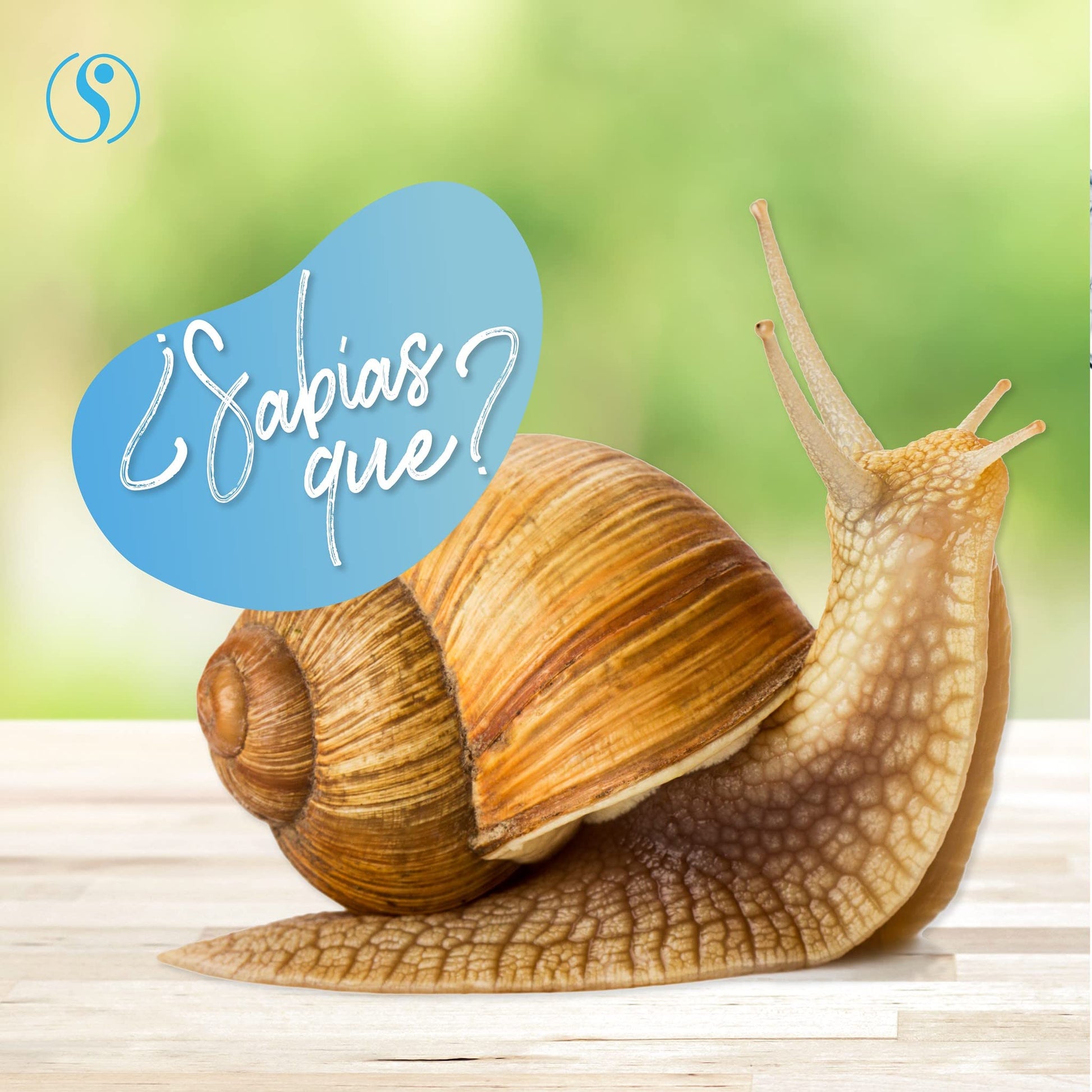 Crema Baba de Caracol Facial | Regeneradora de piel | Desvanece cicatrices, líneas de expresión, acné