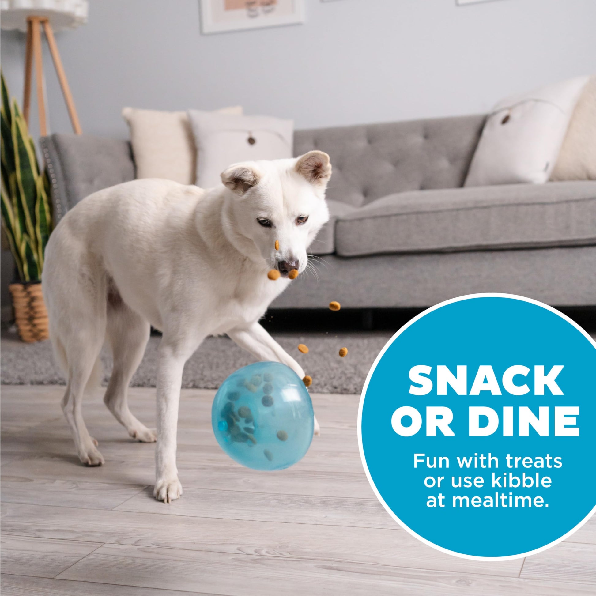 Juguete Dispensador de Premios Planet Dog Orbee-Tuff Azul 12.7 cm para Mascotas