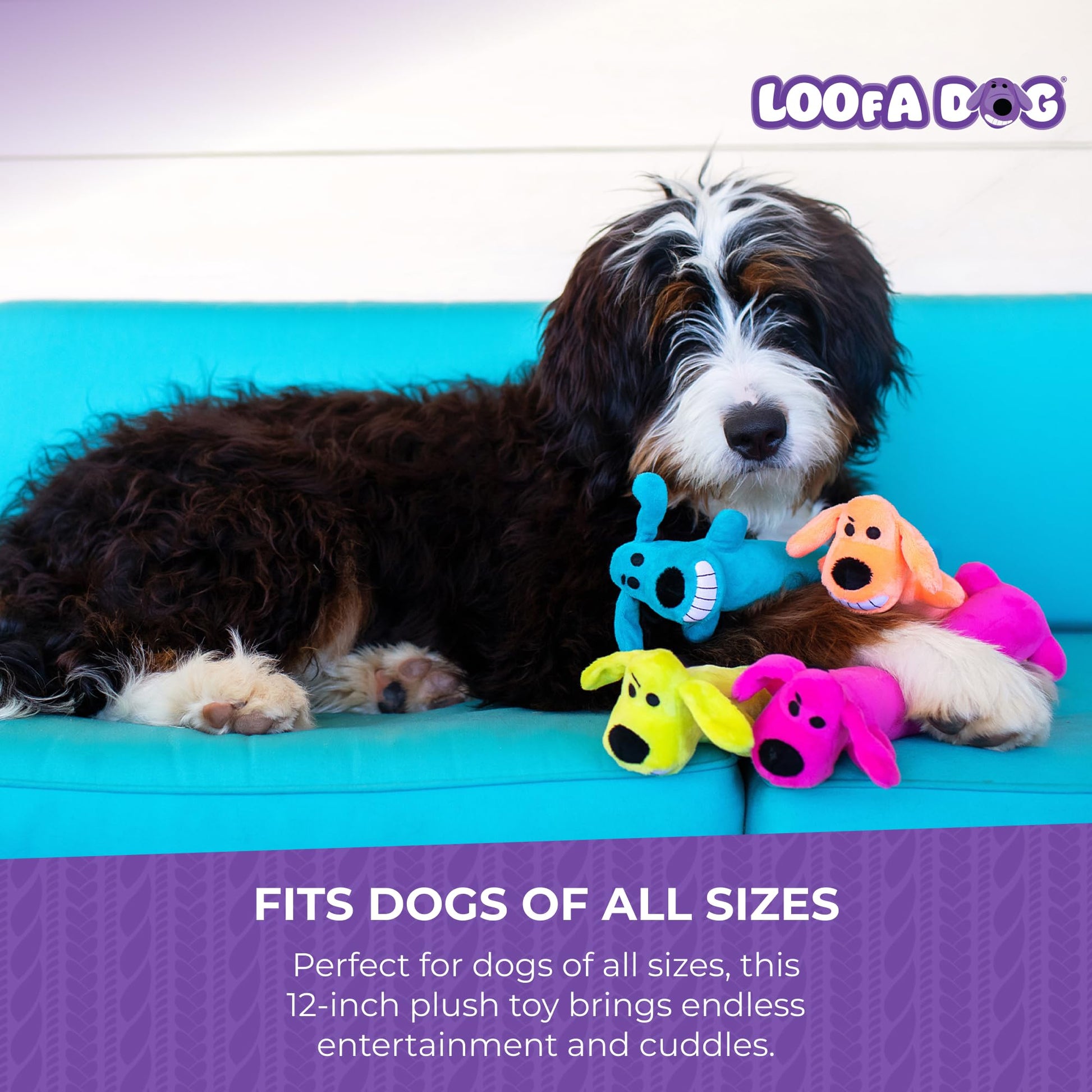 Loofa Dog 12" Plush Dog Toy, Colors May Vary