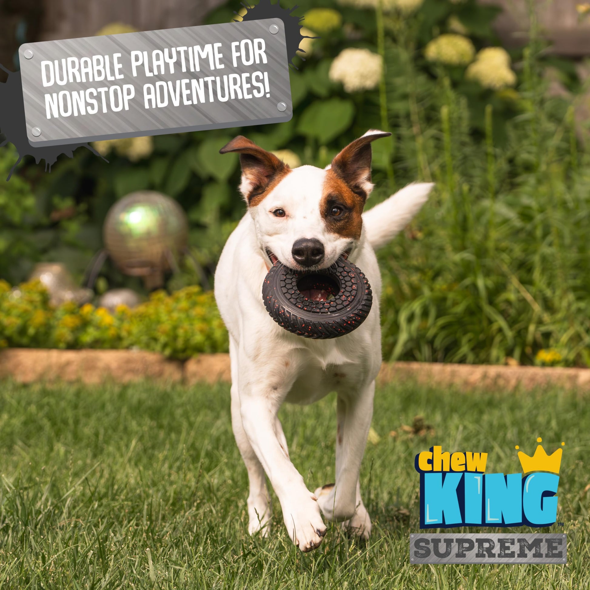 Chew King Supreme - Colección de Juguetes para Perros, Anillo Supremo Mediano