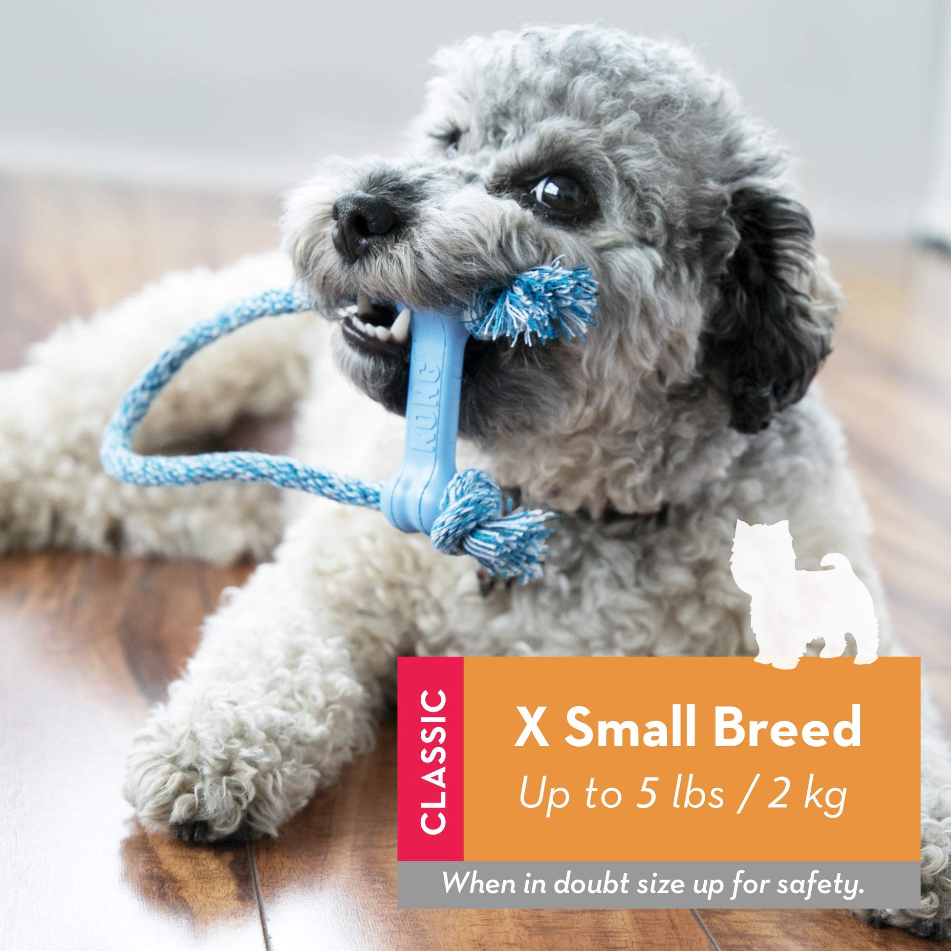 KONG Puppy Goodie Bone with Rope Dog Toy, X-Small, Colors May Vary
