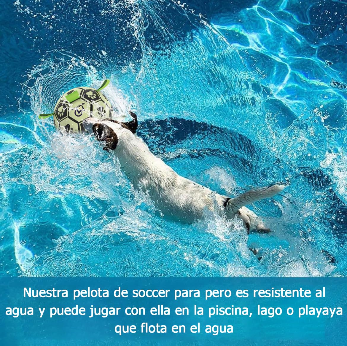 Juguetes para Perros MOMOVIDA Fútbol fosforescente Pelota Interactiva Duradera