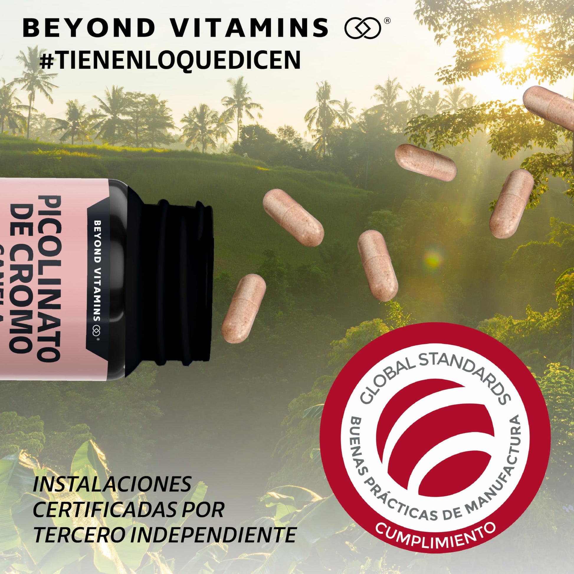 Beyond Vitamins | Picolinato de Cromo con Canela, Cápsulas VCaps, 1 cápsula diaria (60 Cápsulas)