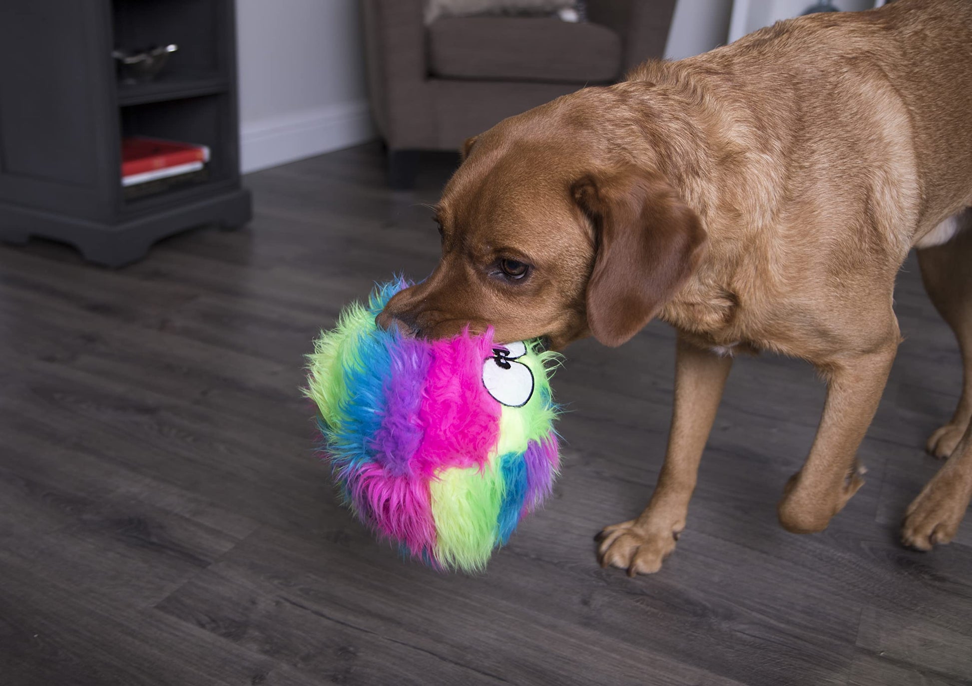 goDog Furballz - Pelota de Peluche chirriante para Perro, tecnología de protección masticable, Arco Iris, Grande