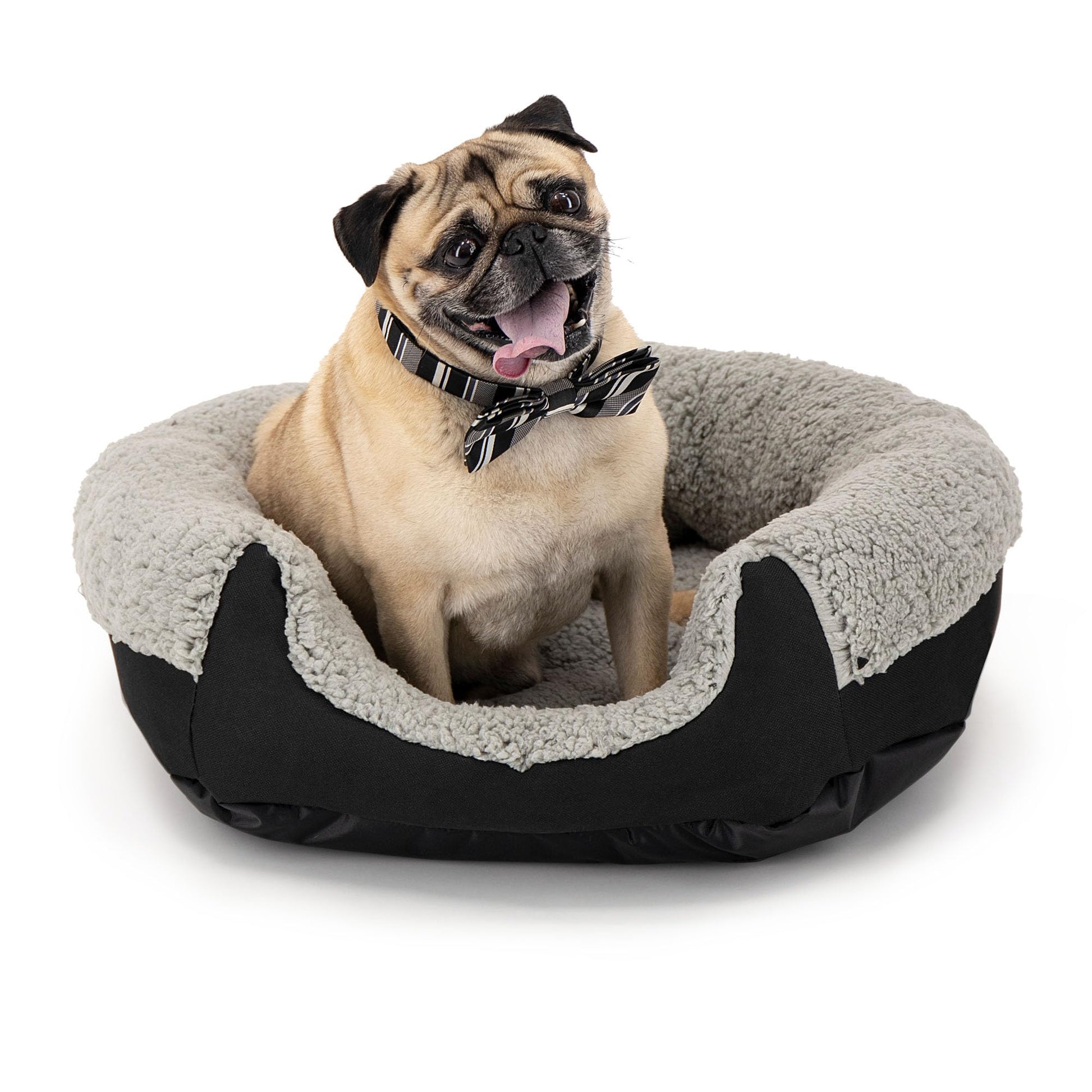 Cama para Perro PETS APPAREL HILLS Negra con Forro acolchonado Small