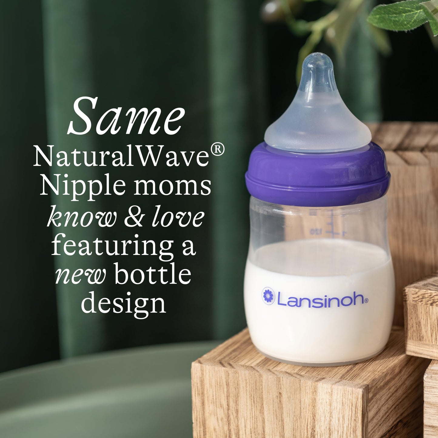 Lansinoh Biberones con Tetina Natural Wave, Transparente, 5 Oz, Paquete de 1 Count