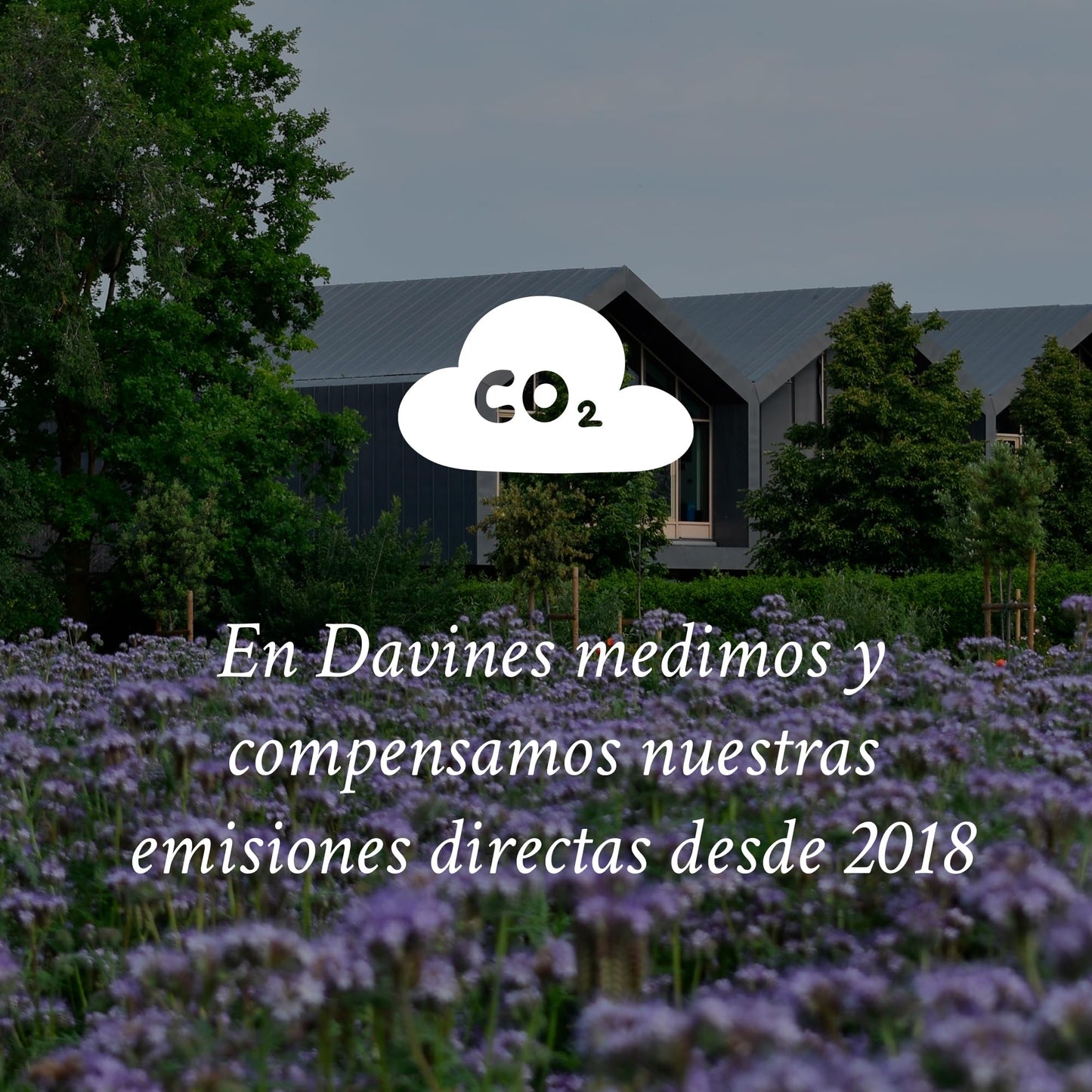 Davines OI All In One Milk | Tratamiento multibeneficios para hidratación y suavidad extrema |135 m