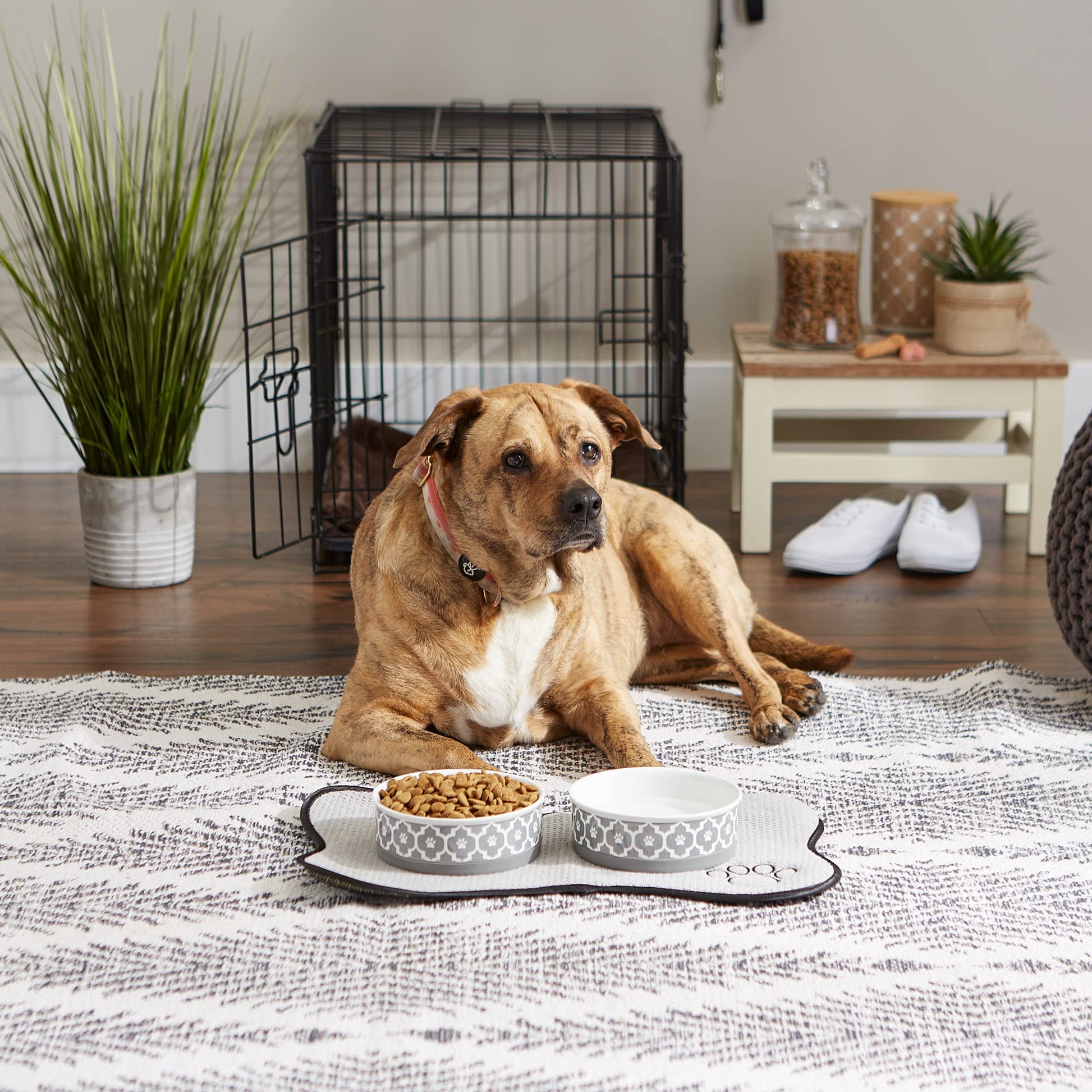 DII Bone Dry Lattice Ceramic Medium Pet Bowl For Food & Water, 6" Dia x 2"H Set of 2, With Non-Skid Silicone Rim for Dogs and Cats-Gray