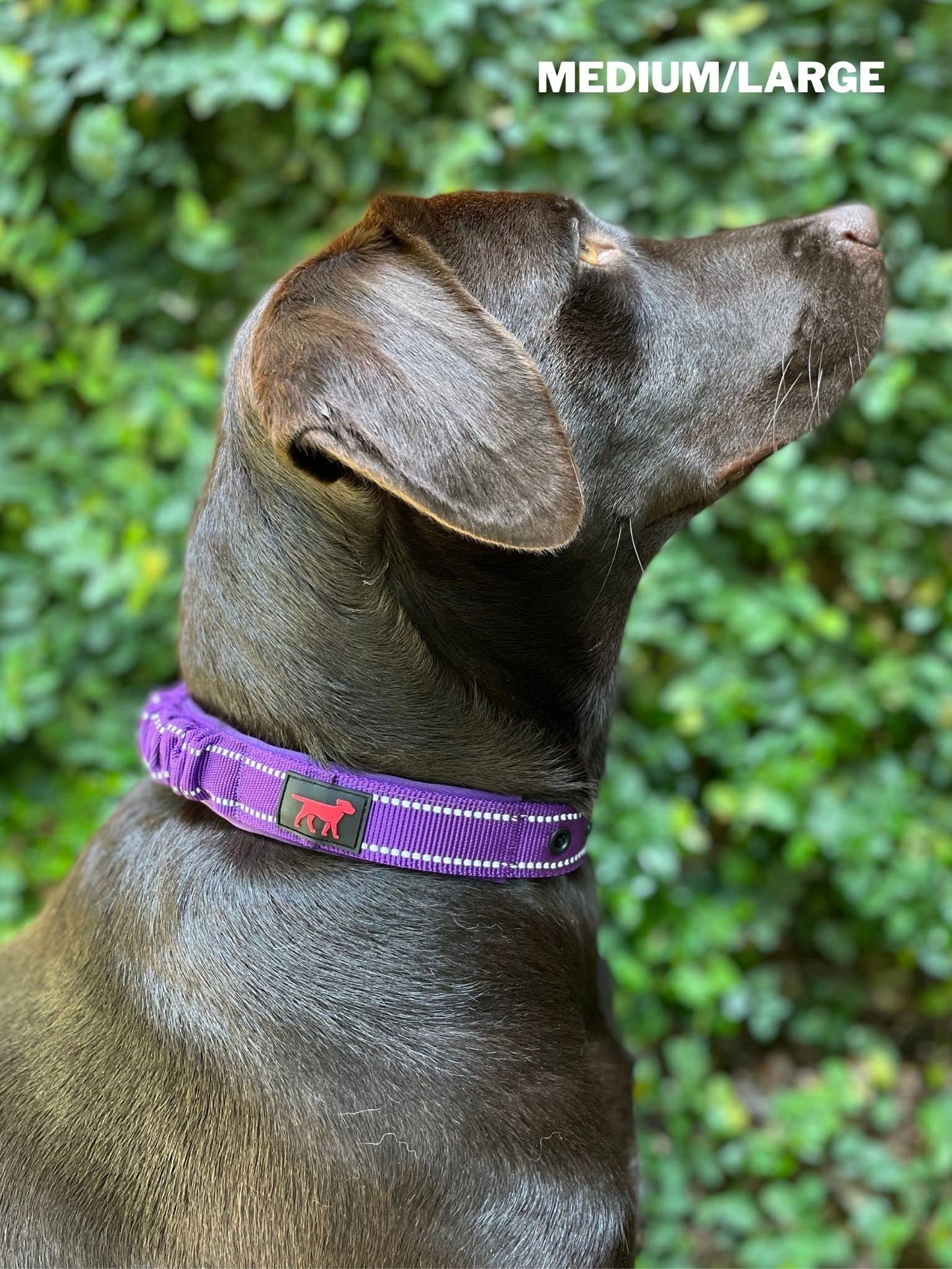 Tuff Pupper Collar de perro resistente con asa | Collar de nailon balístico resistente | Collar reflectante acolchado con herrajes de acero inoxidable ajustables | Tamaño conveniente para todas las razas