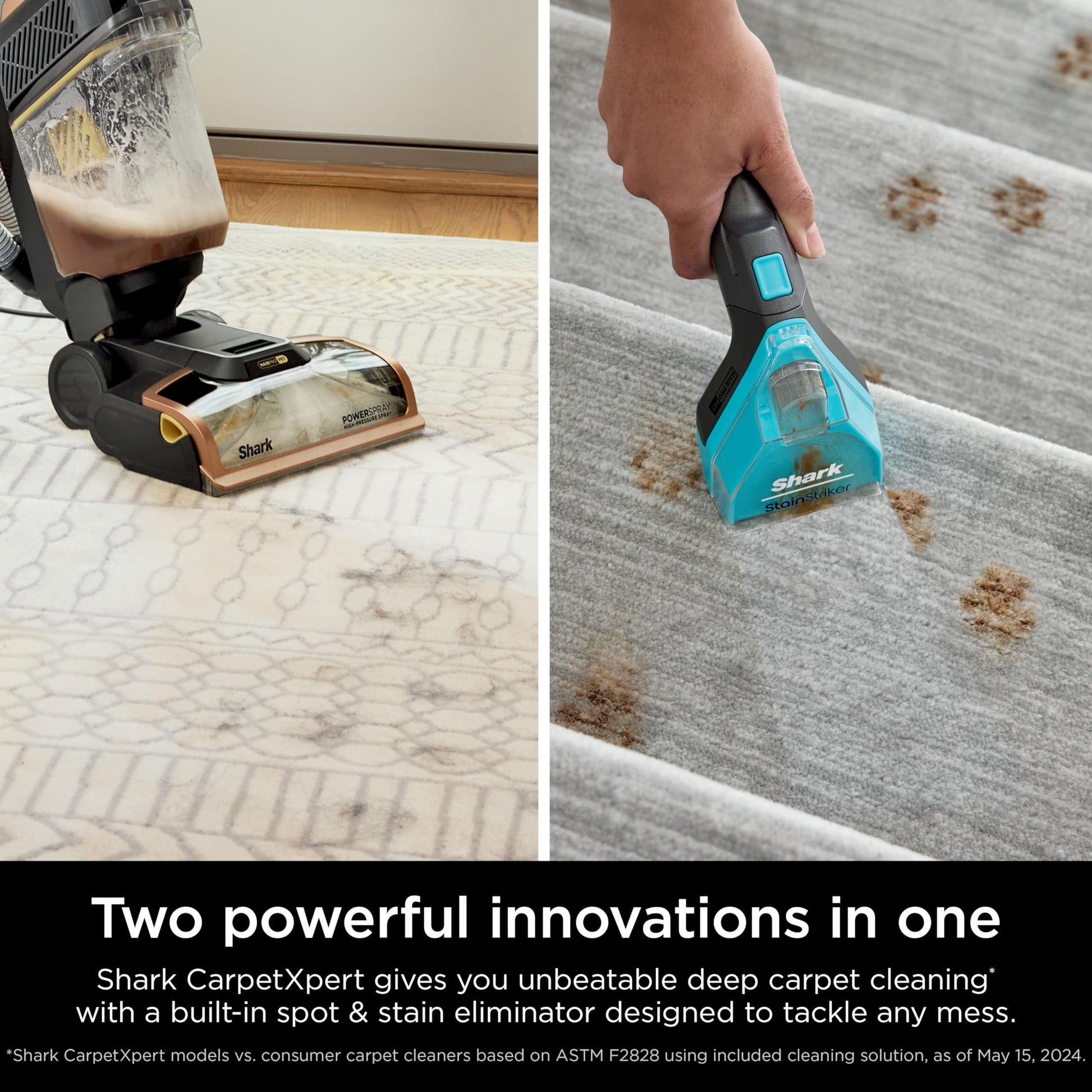 Limpiador de Alfombras Shark CarpetXpert HairPro Azul con StainStriker para Mascotas y Depilación