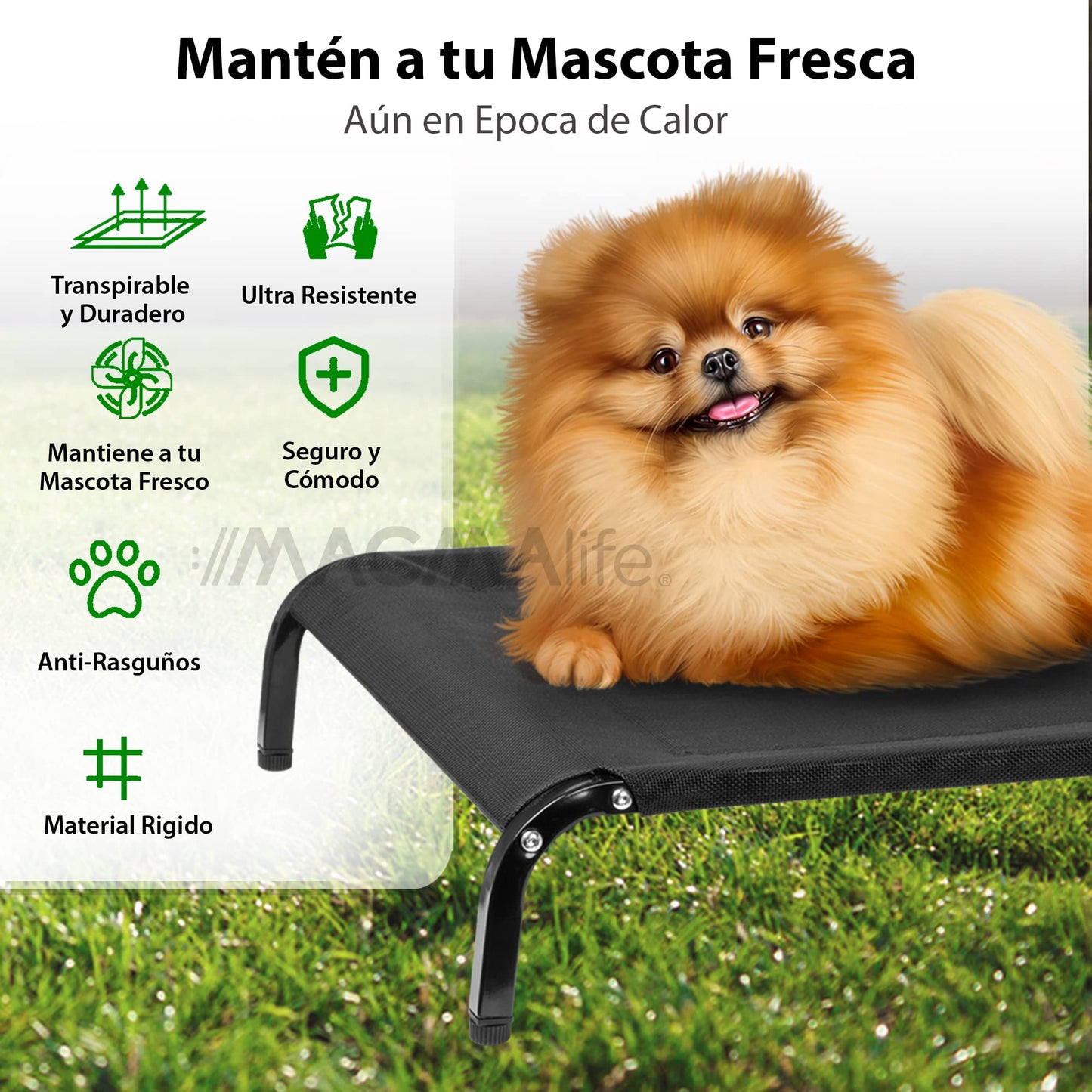MAGMALIFE Cama para Perro, Cama Elevada con Malla Lavable y Transpirable, Antideslizante, Apto para Usarse en Interior y Exterior, Cama Tipo Hamaca para Perro o Gato