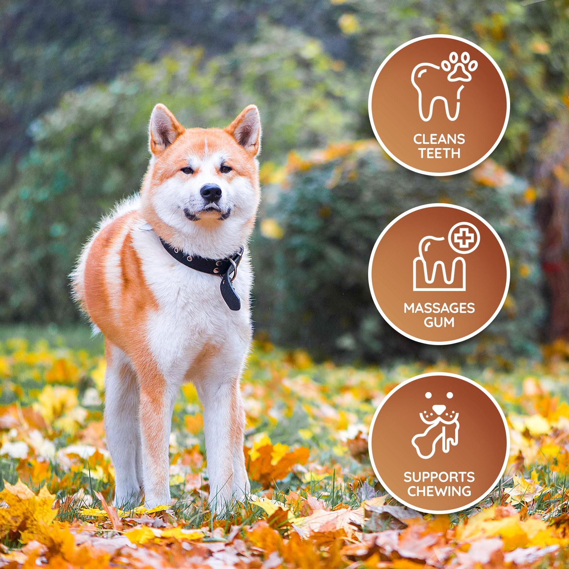 Huesos de Cuero Wildfang Huesos para Perros Cuidado Dental