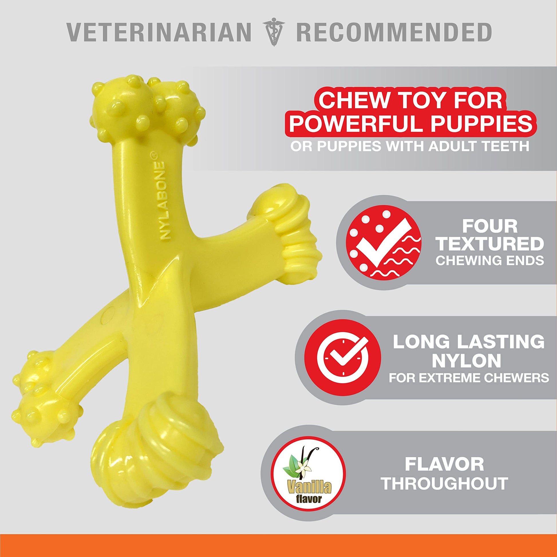 Juguete Masticable de Nailon Nylabone Puppy Power Axis Pequeño para Cachorros
