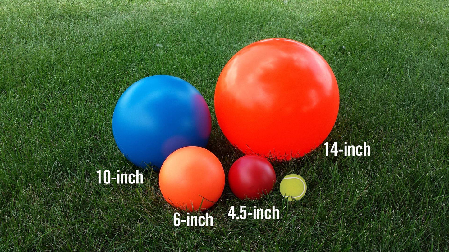 Bola Indestructible para Perro Doggie Dooley Plástico Duro Variada