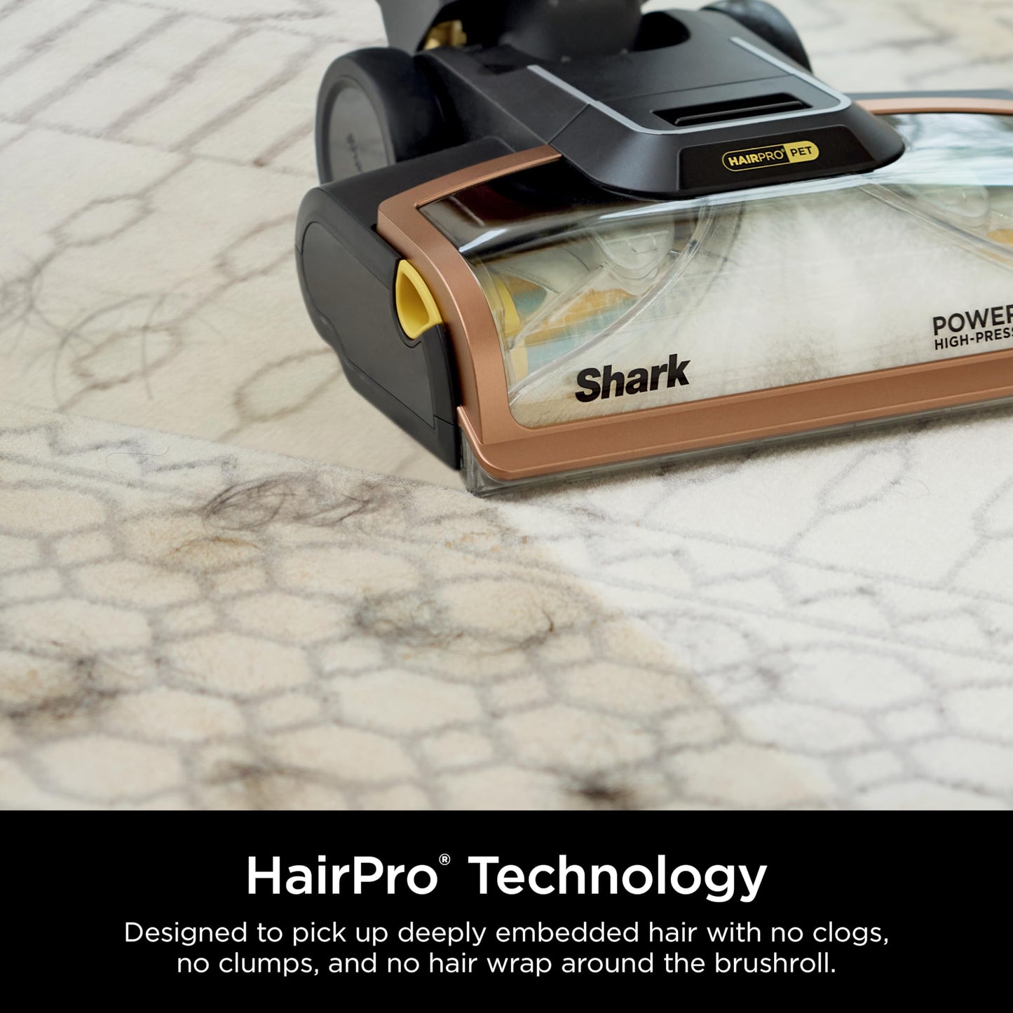 Limpiador de Alfombras Shark CarpetXpert HairPro Azul con StainStriker para Mascotas y Depilación