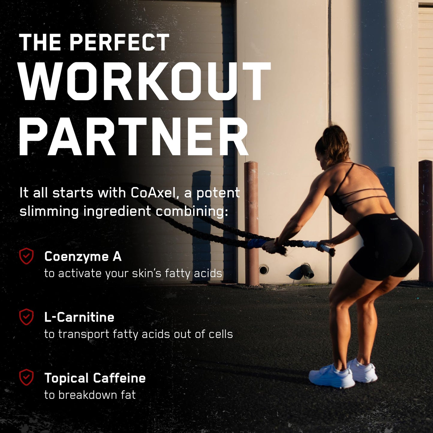 SteelFit Abs of Steel Maximum Definition Cream with 5% Coaxel, 8 fl oz (237ml).