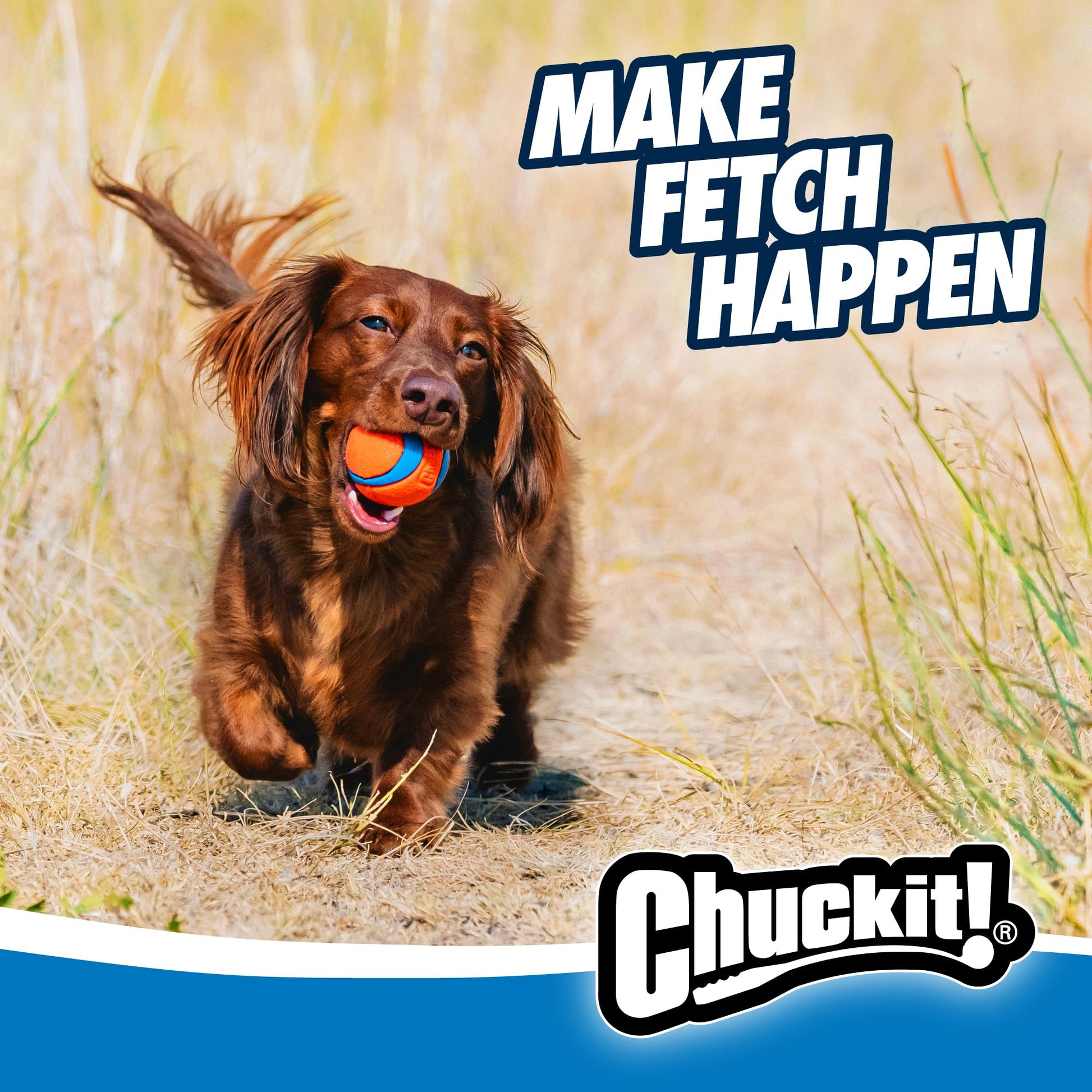 Chuckit! DO817020 Pelota Ultra, talla chica, 2 Piezas, Colores Surtidos