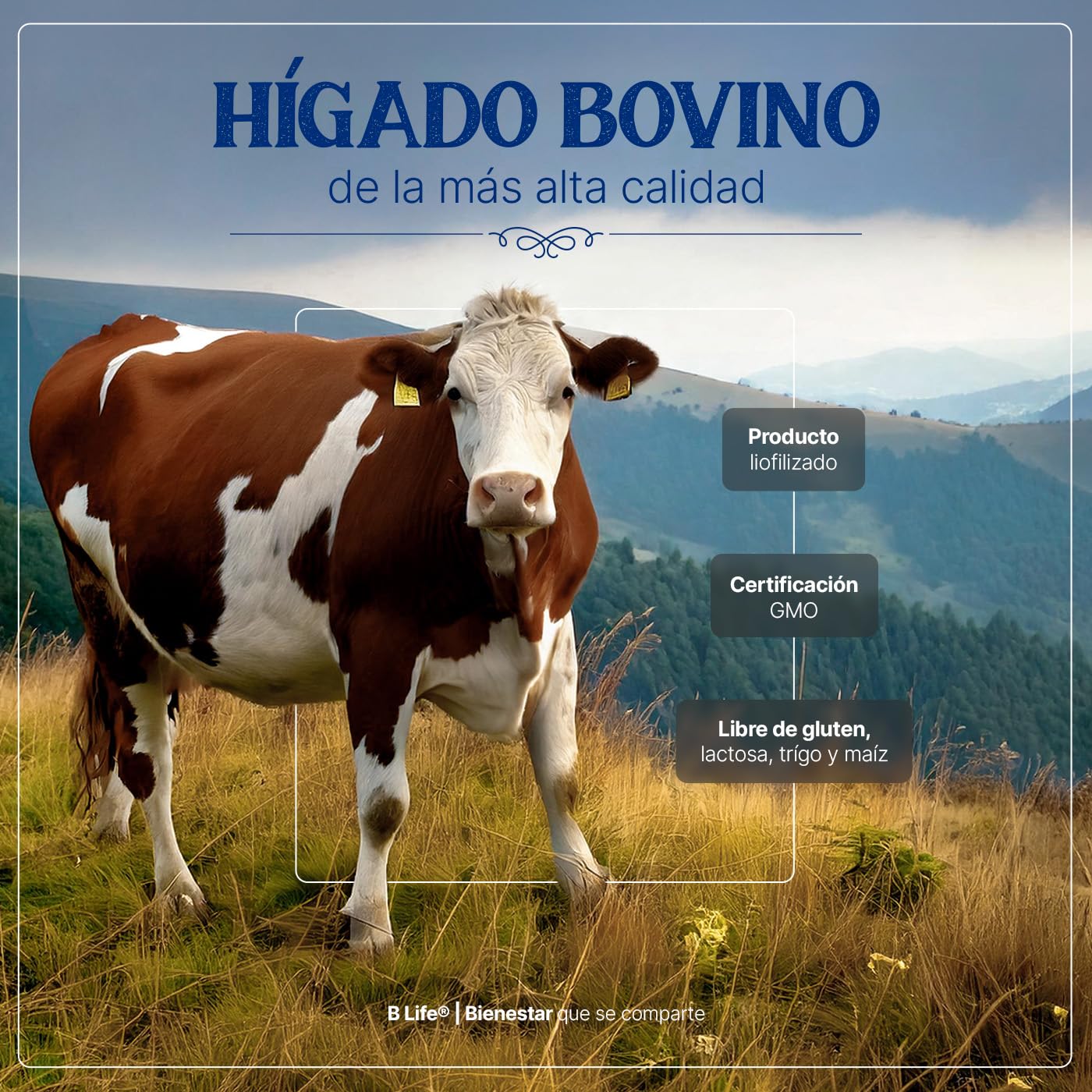 Hígado Vacuno de Res de Nueva Zelanda alimentada con pasto 180 Cápsulas 1400 mg por porción. Ingredientes 100% Naturales. Beef Liver Grassfed B Life.