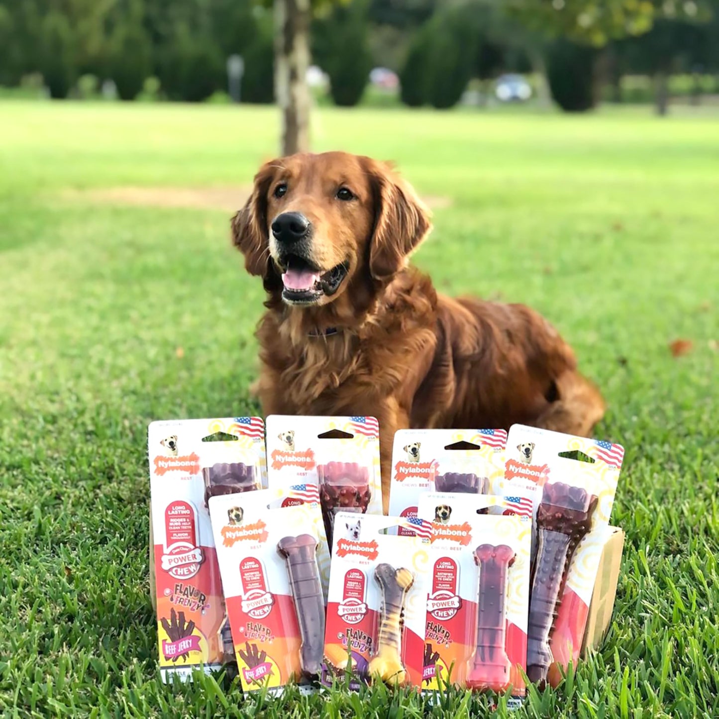 Juguete Masticable para Perros Nylabone Power Chew Larga Duración Texturizado Sabor Beef Jerky Lobo