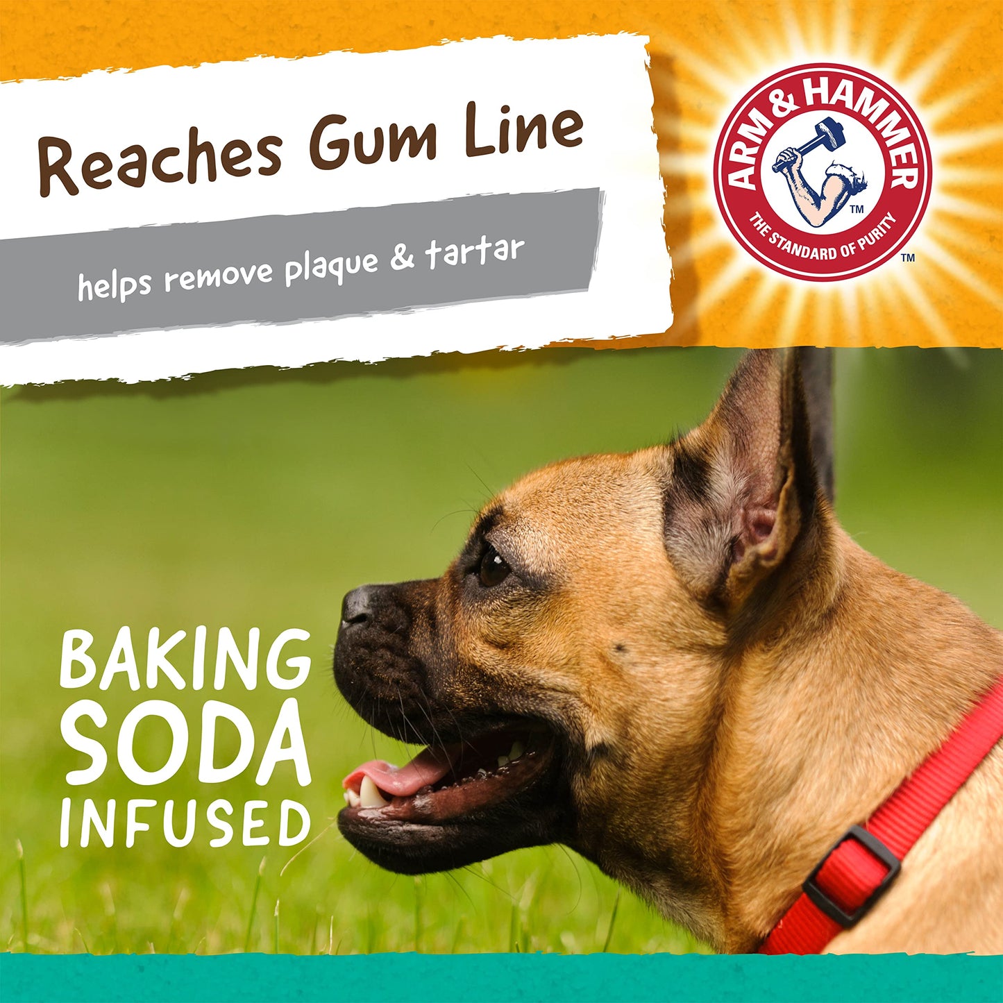 Arm & Hammer - Juguete para perros A&H Treadz Gorilla