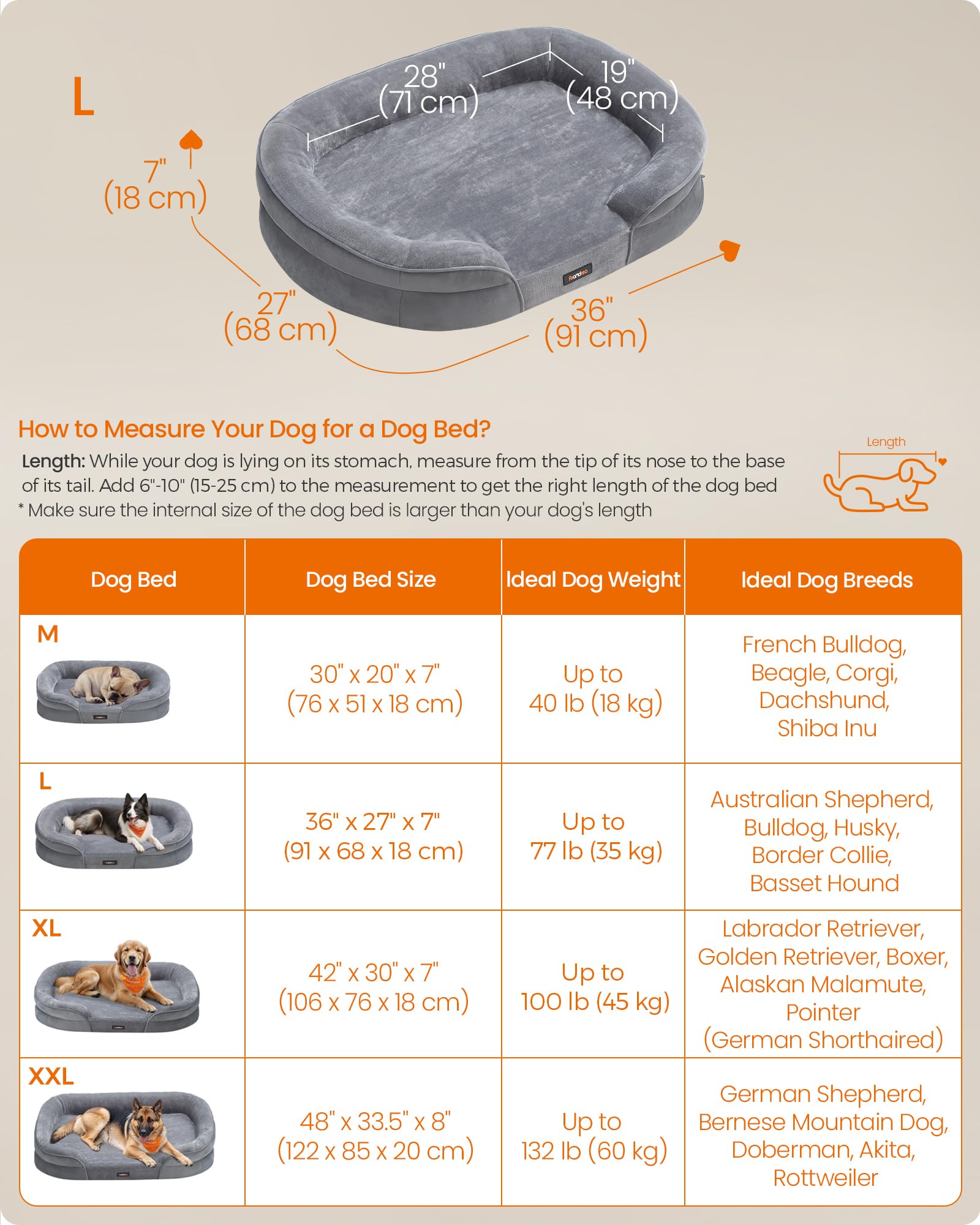 Cama para Perros Grandes Feandrea Gris Claro con Funda Lavable y Bordes Elevados