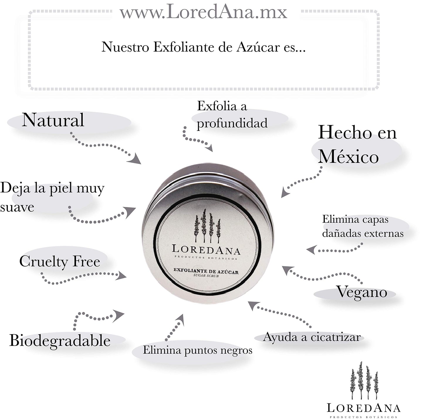 LOREDANA | Exfoliante de azúcar | Piel suave y uniforme | Capacidad 250 gr | Disfruta de una piel suave y uniforme con este exfoliante de azúcar que elimina suavemente las impurezas, dejando tu piel radiante y renovada.