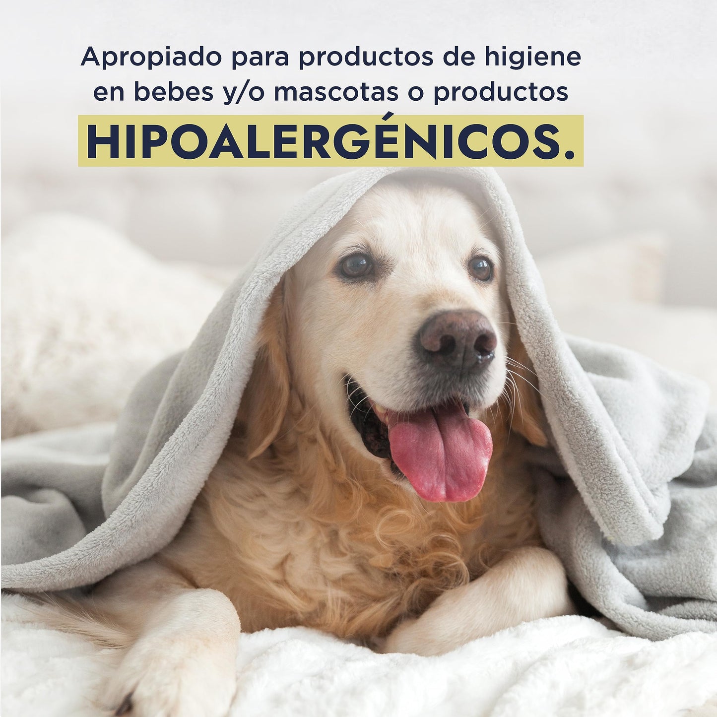 HEBBE Betaína de Coco 1 kg | Tensoactivo Anfótero Suave | Agente Espumante | Reduce Irritación | Soluble en Agua y Etanol | pH 5-8
