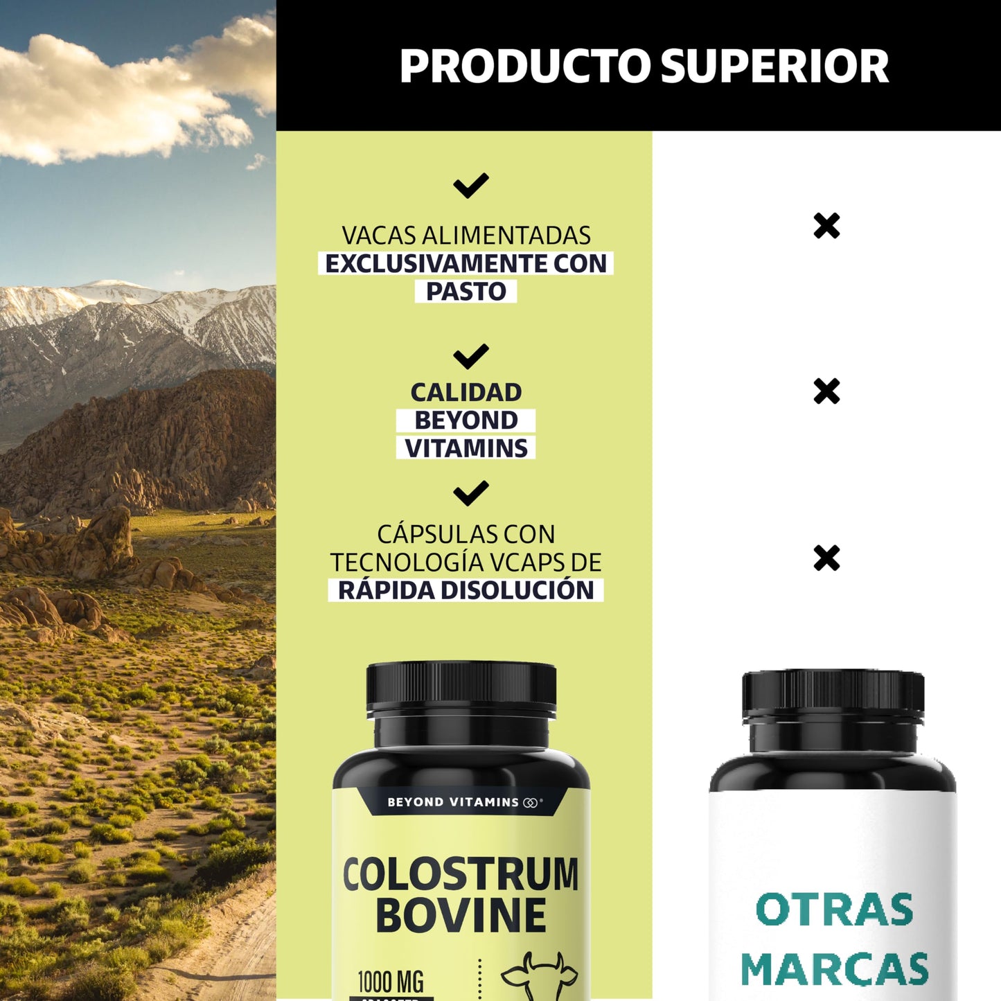 Beyond Vitamins | Calostro Bovino Grass Fed de Libre Pastoreo 1000 mg, Bovine Colostrum de Calidad Certificada (60 Cápsulas)