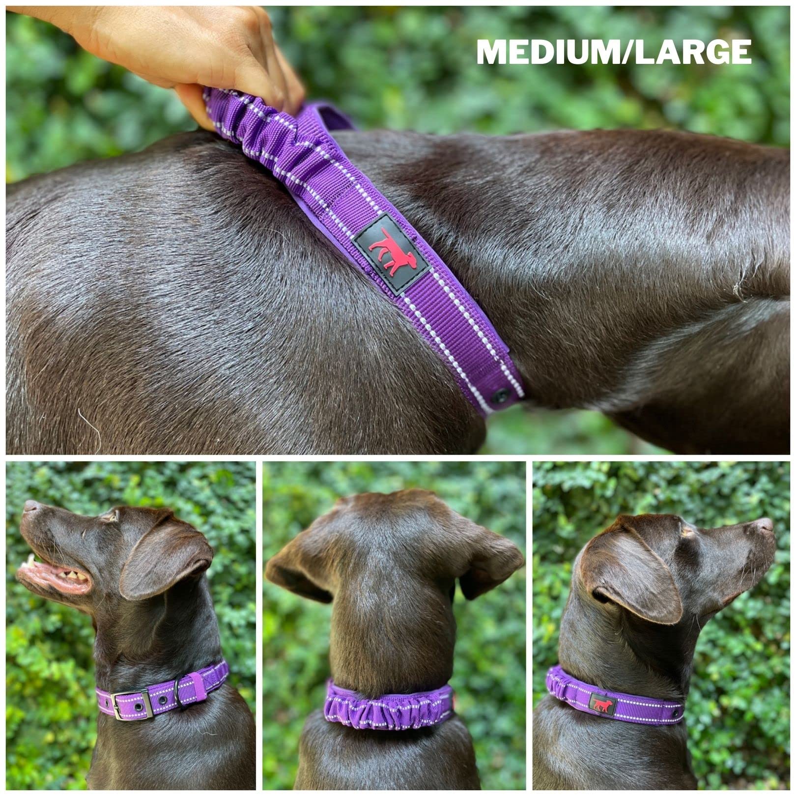 Tuff Pupper Collar de perro resistente con asa | Collar de nailon balístico resistente | Collar reflectante acolchado con herrajes de acero inoxidable ajustables | Tamaño conveniente para todas las razas
