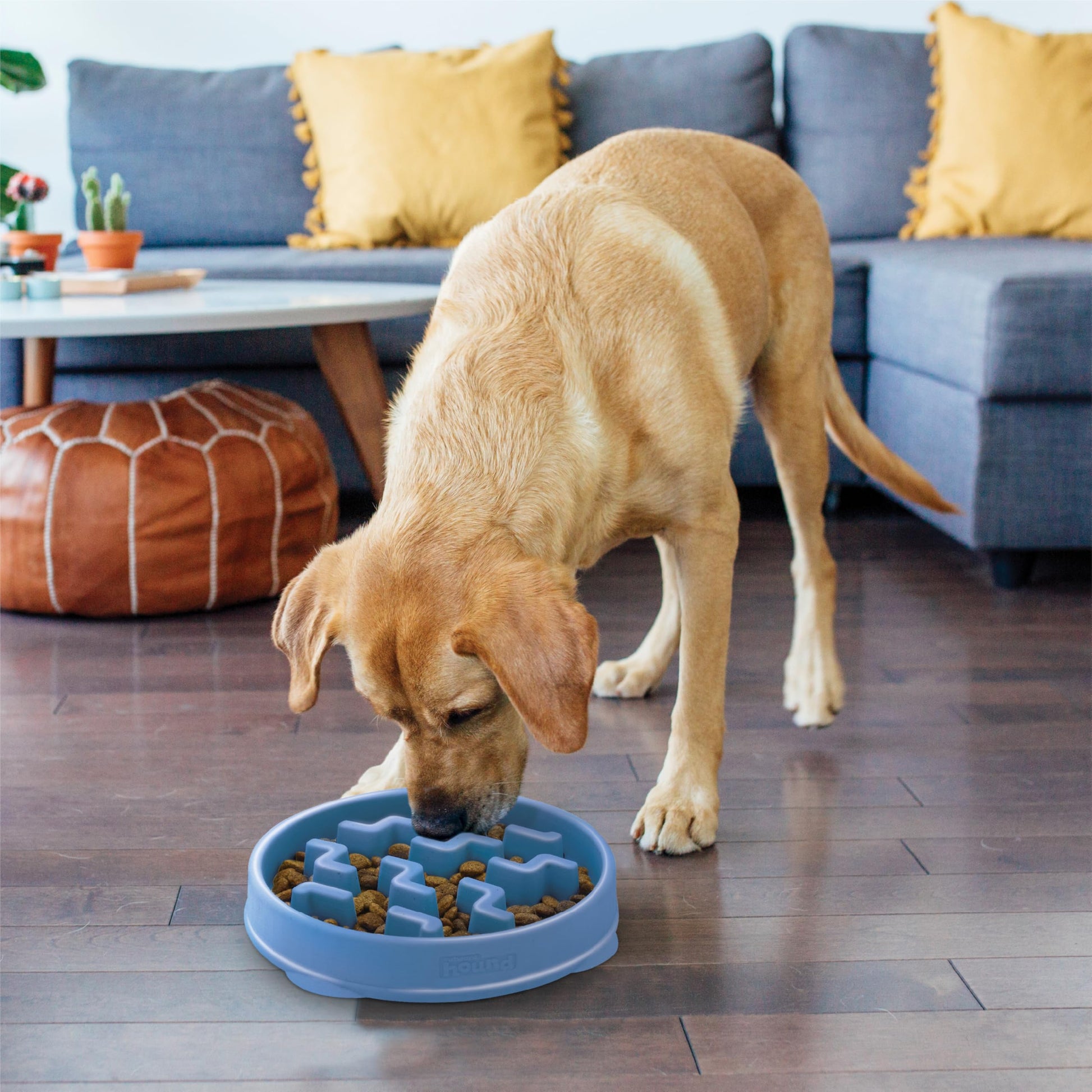 Plato para Perro Outward Hound Grande Azul con Alimentación Lenta