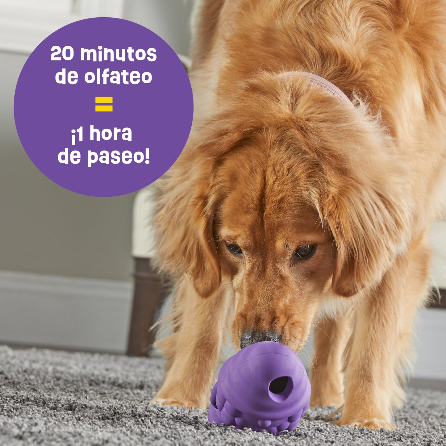 Brightkins Tough & Tumble Treat Dispenser Large GNOME - Juguetes para Perros sin BPA, Dispensador de Treats para Perros, Juguetes para Perros Ansiosos