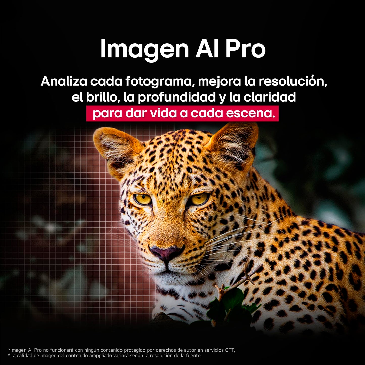 LG Pantalla 77 Pulgadas OLED EVO AI C5 4K Smart TV 2025
