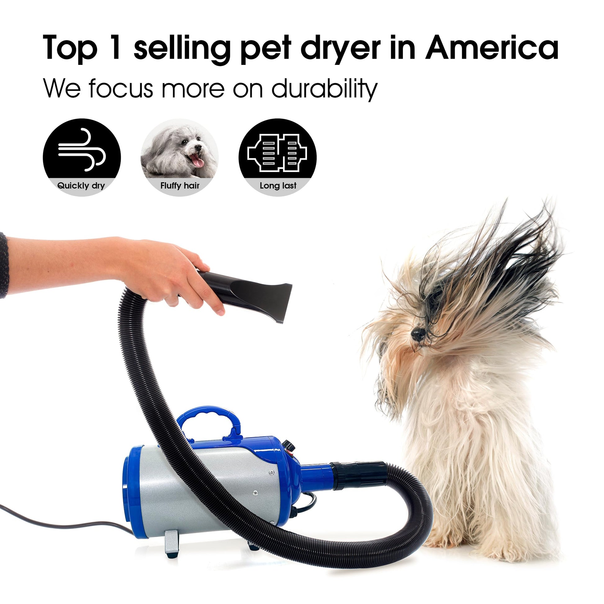 Secador de Pelo para Mascotas SHELANDY Azul con Calentador