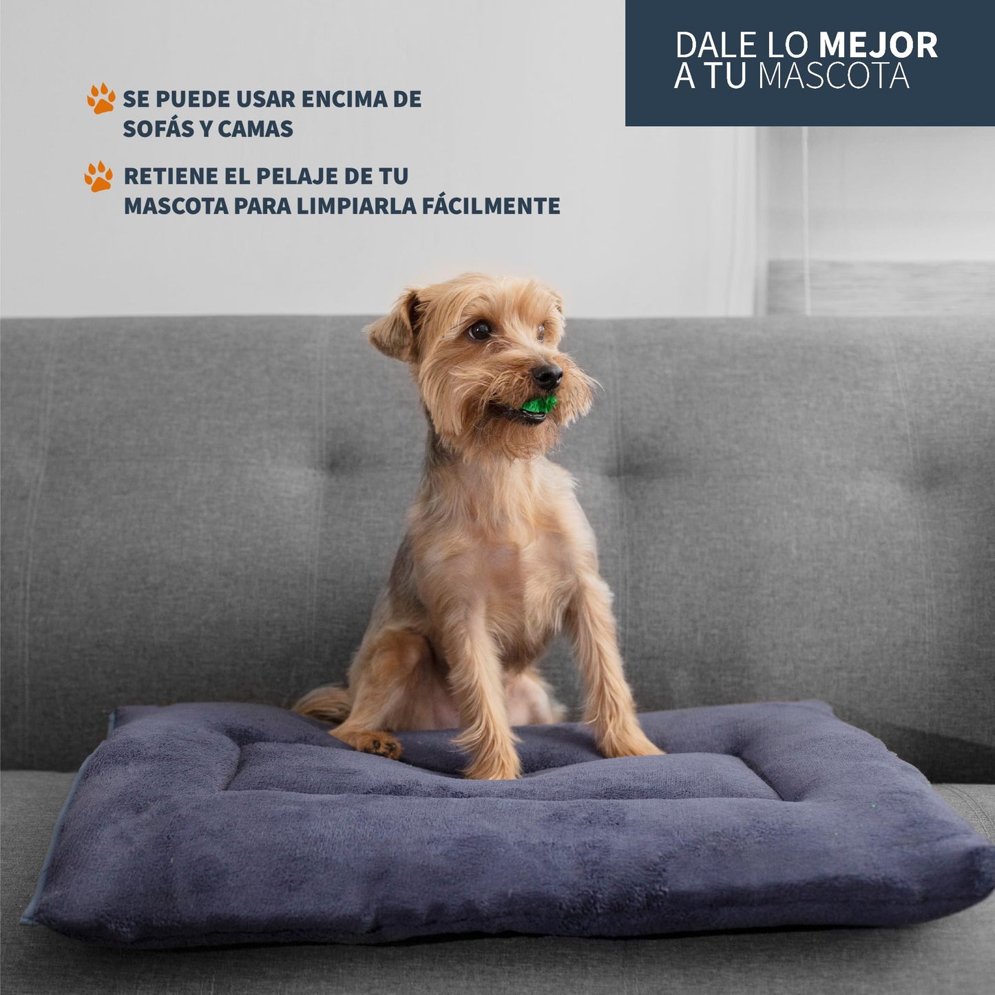Cama para Mascotas PET TO BED Marino Suave Esponjosa Térmica Lavable